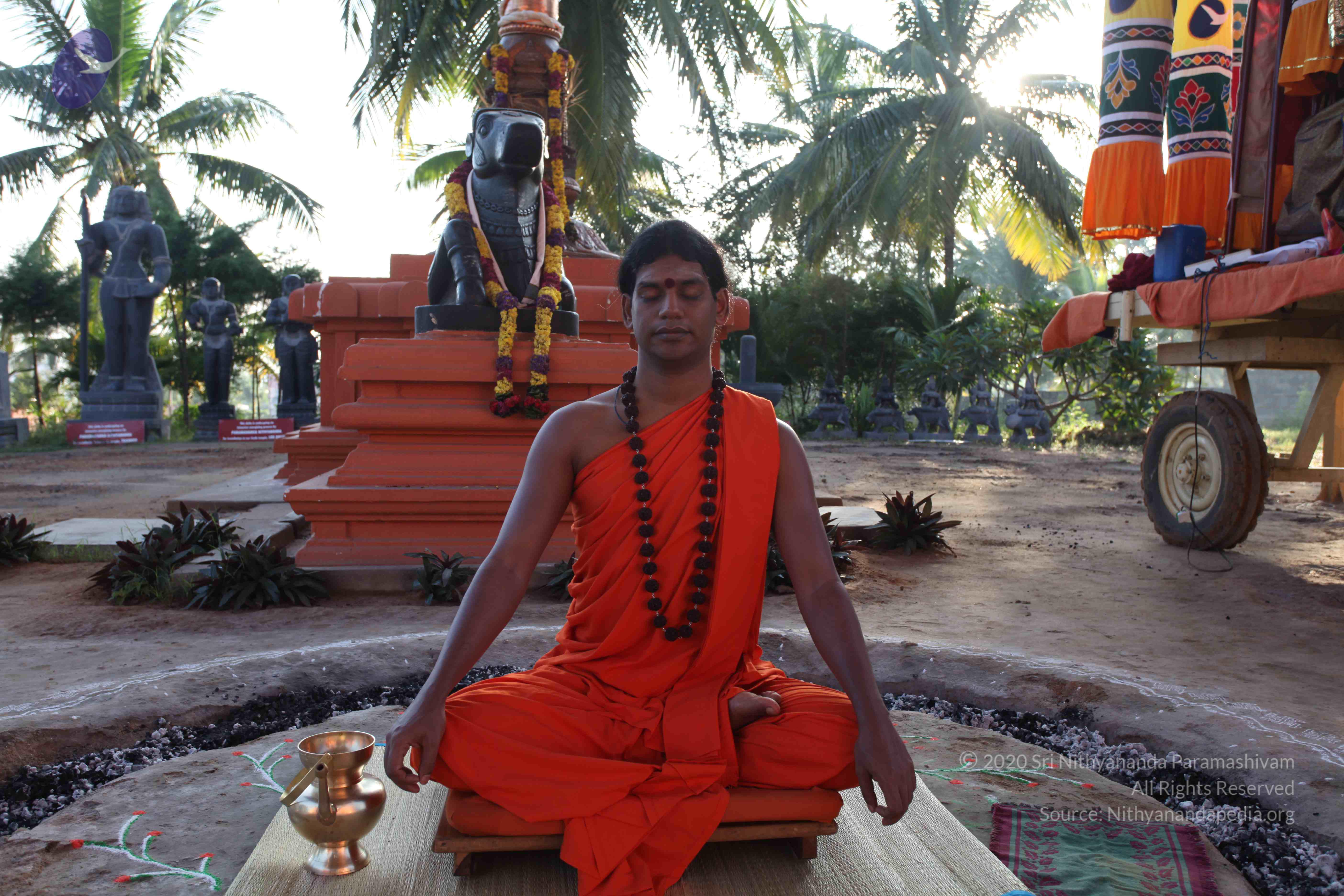 20101119_Photo_1038_IMG_8809_CMP_WM