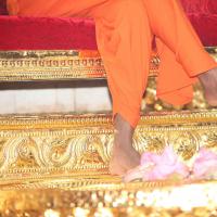 20101119_Photo_1060_IMG_8969_CMP_WM