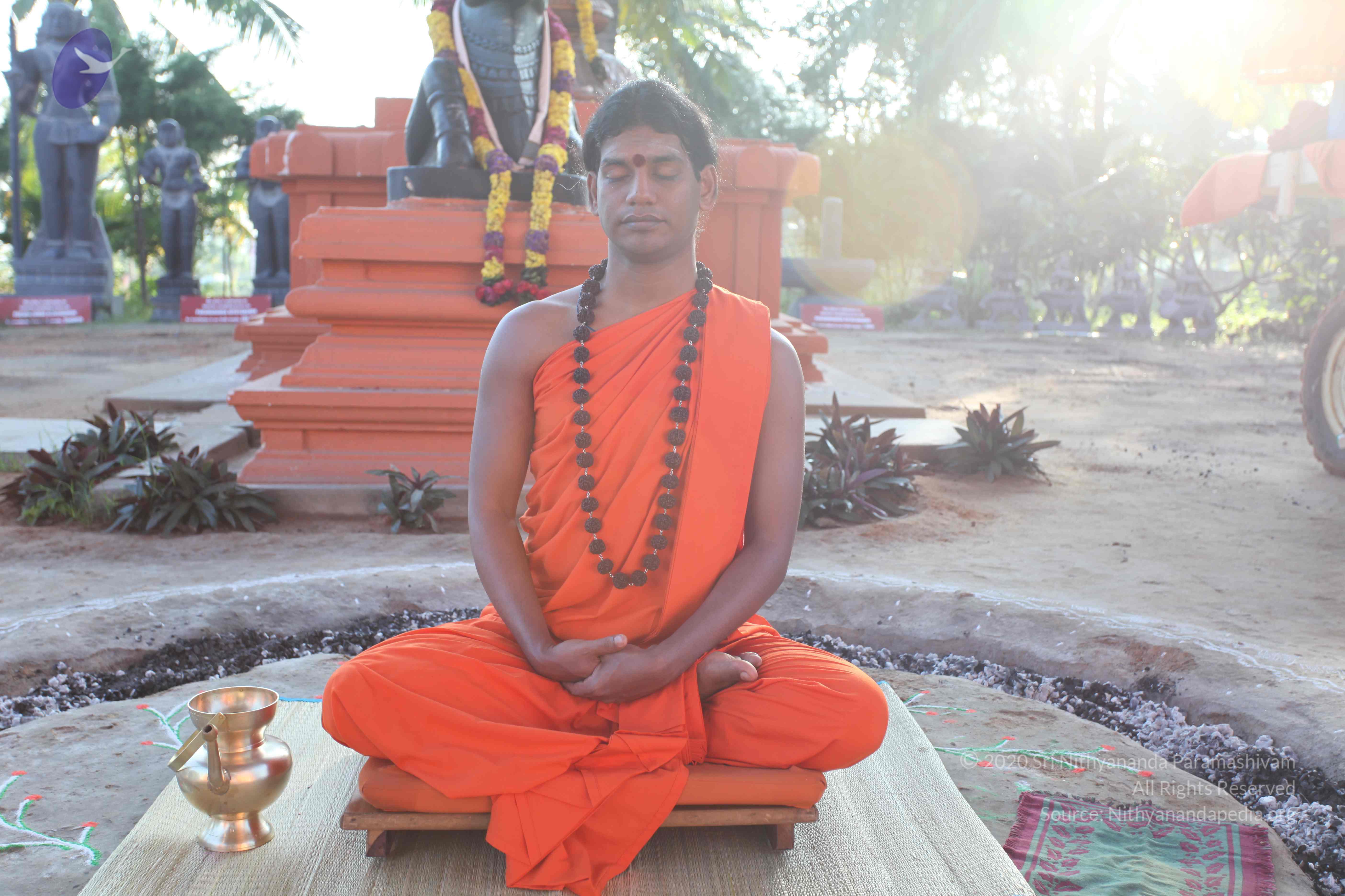 20101119_Photo_1061_IMG_8828_CMP_WM