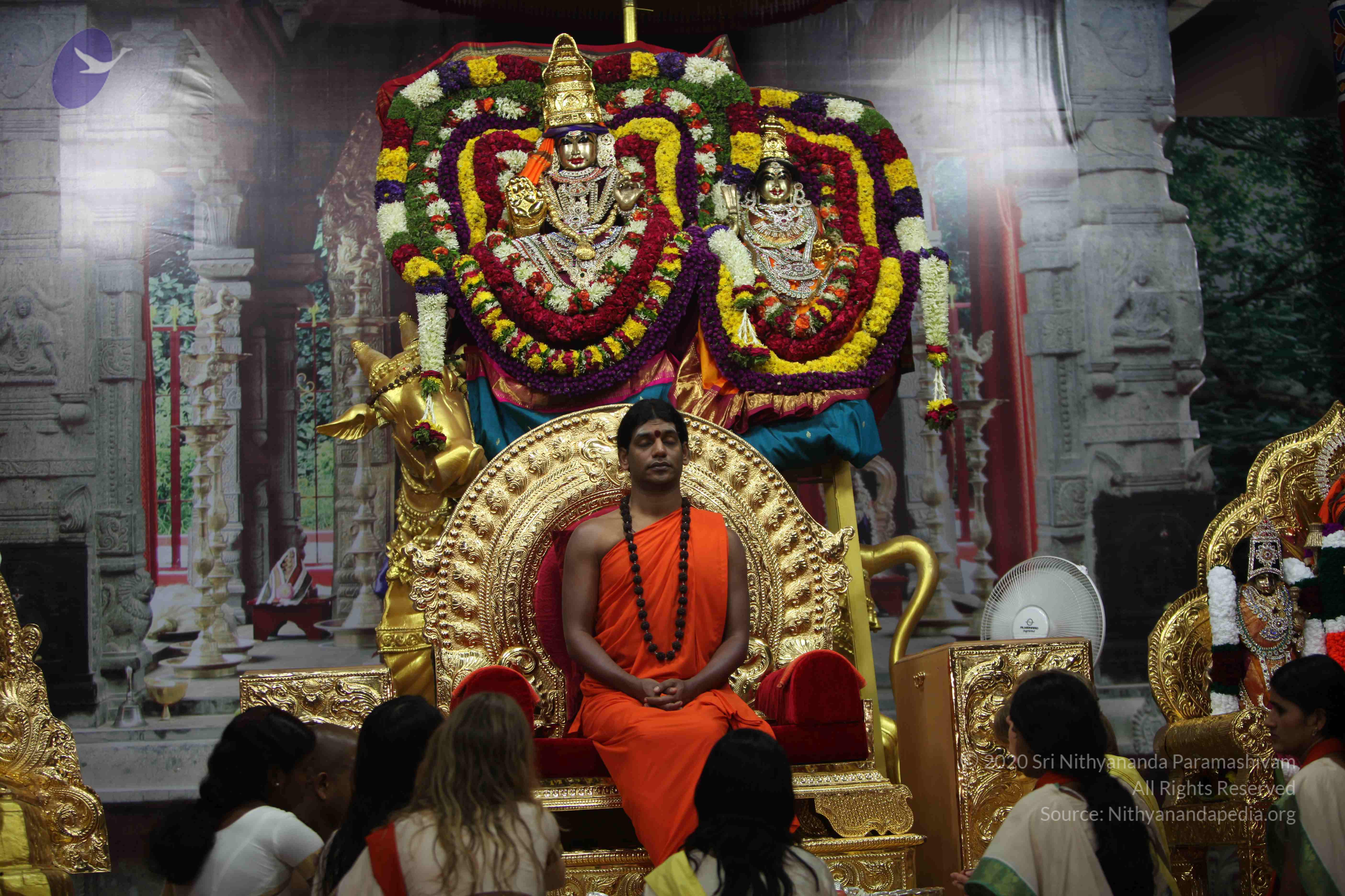 20101119_Photo_1067_IMG_8912_CMP_WM