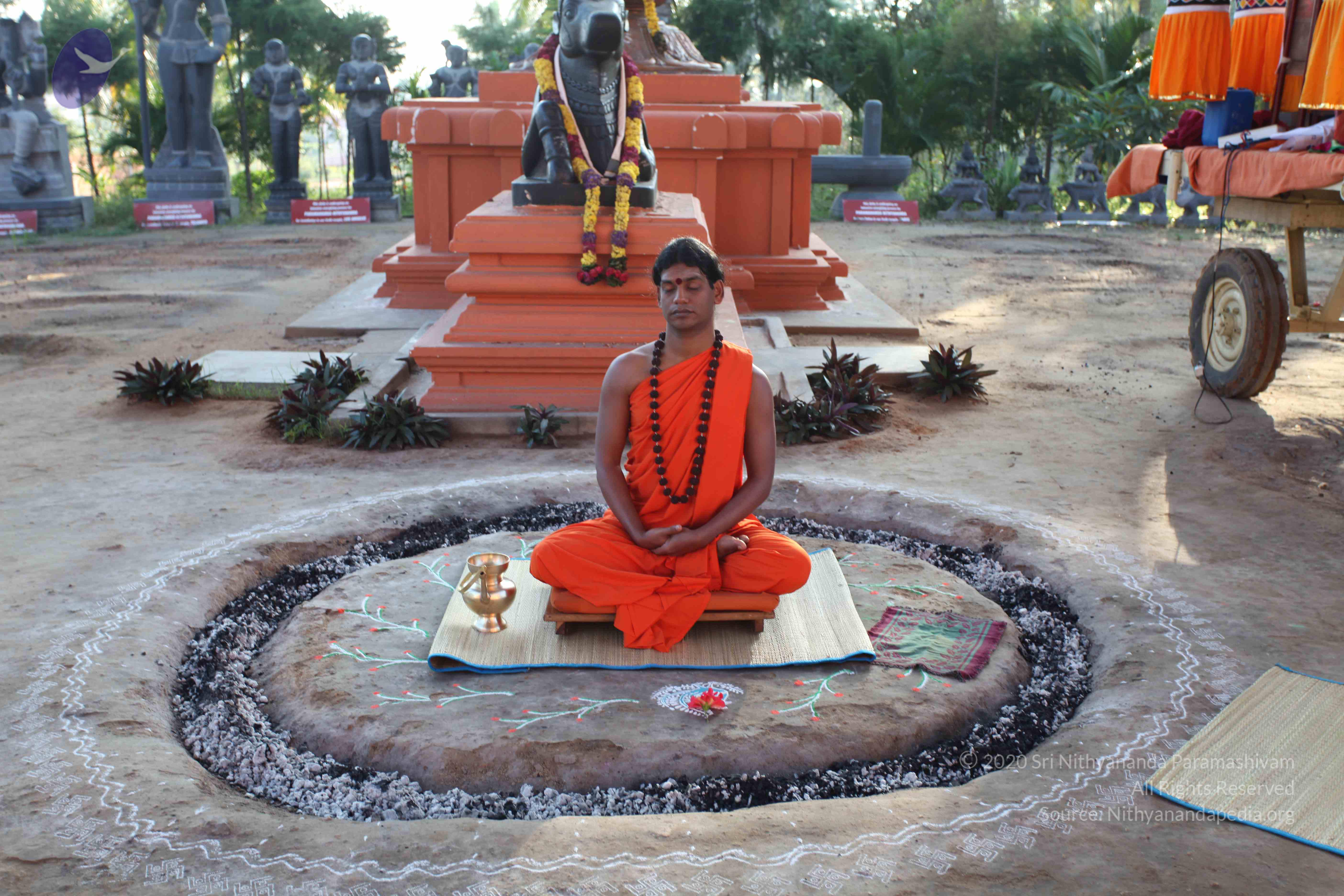 20101119_Photo_1068_IMG_8831_CMP_WM