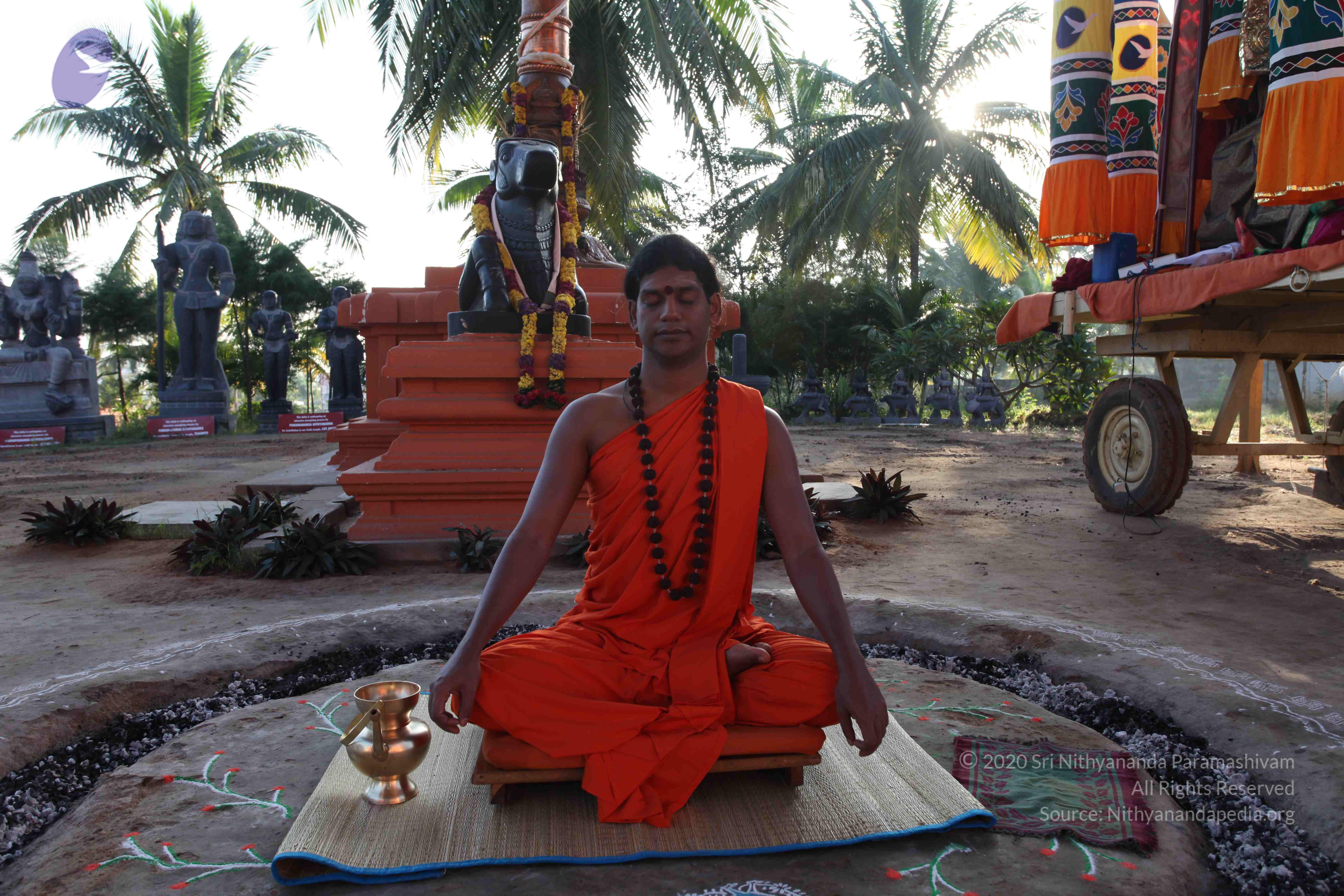 20101119_Photo_1069_IMG_8806_CMP_WM