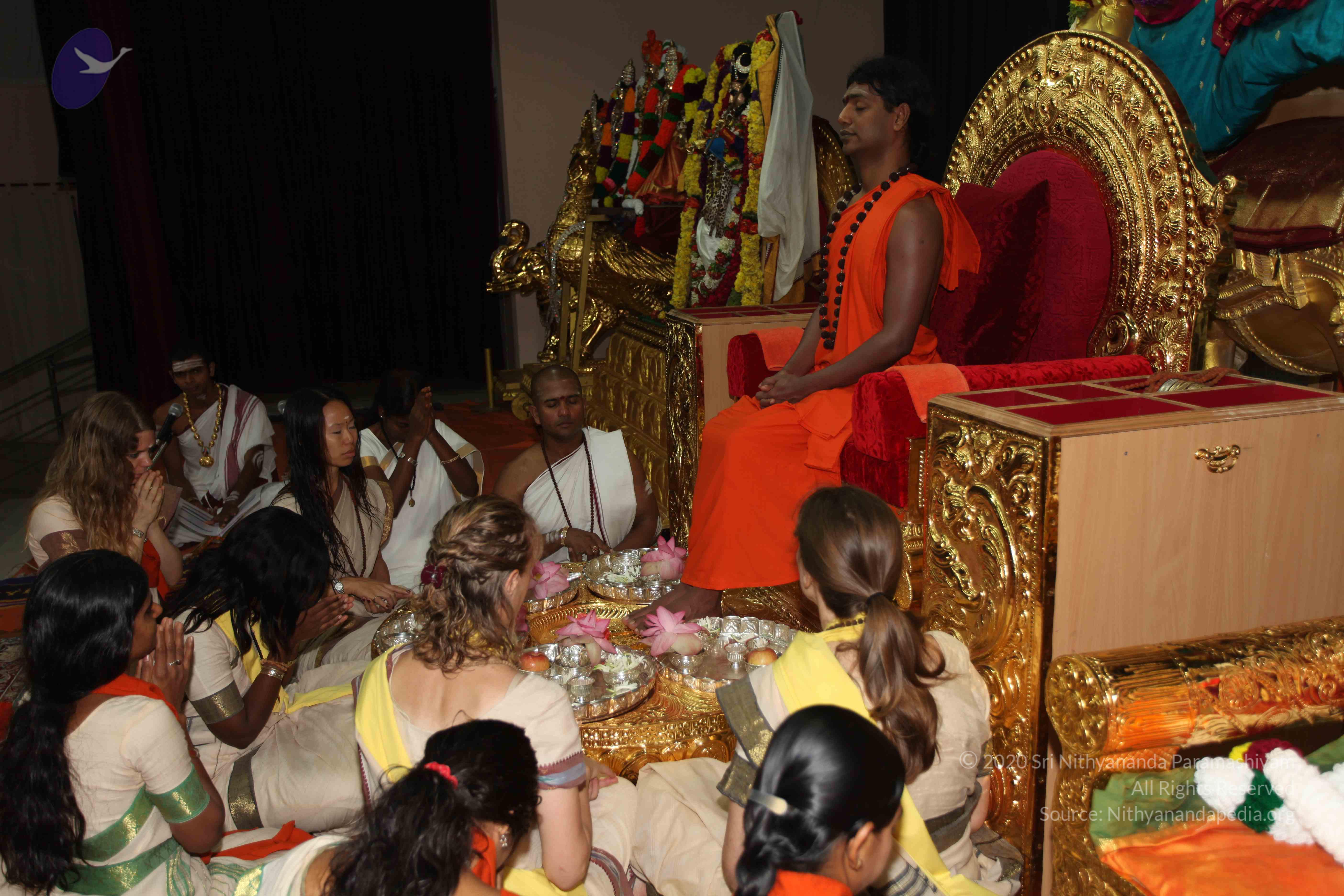 20101119_Photo_1070_IMG_8878_CMP_WM