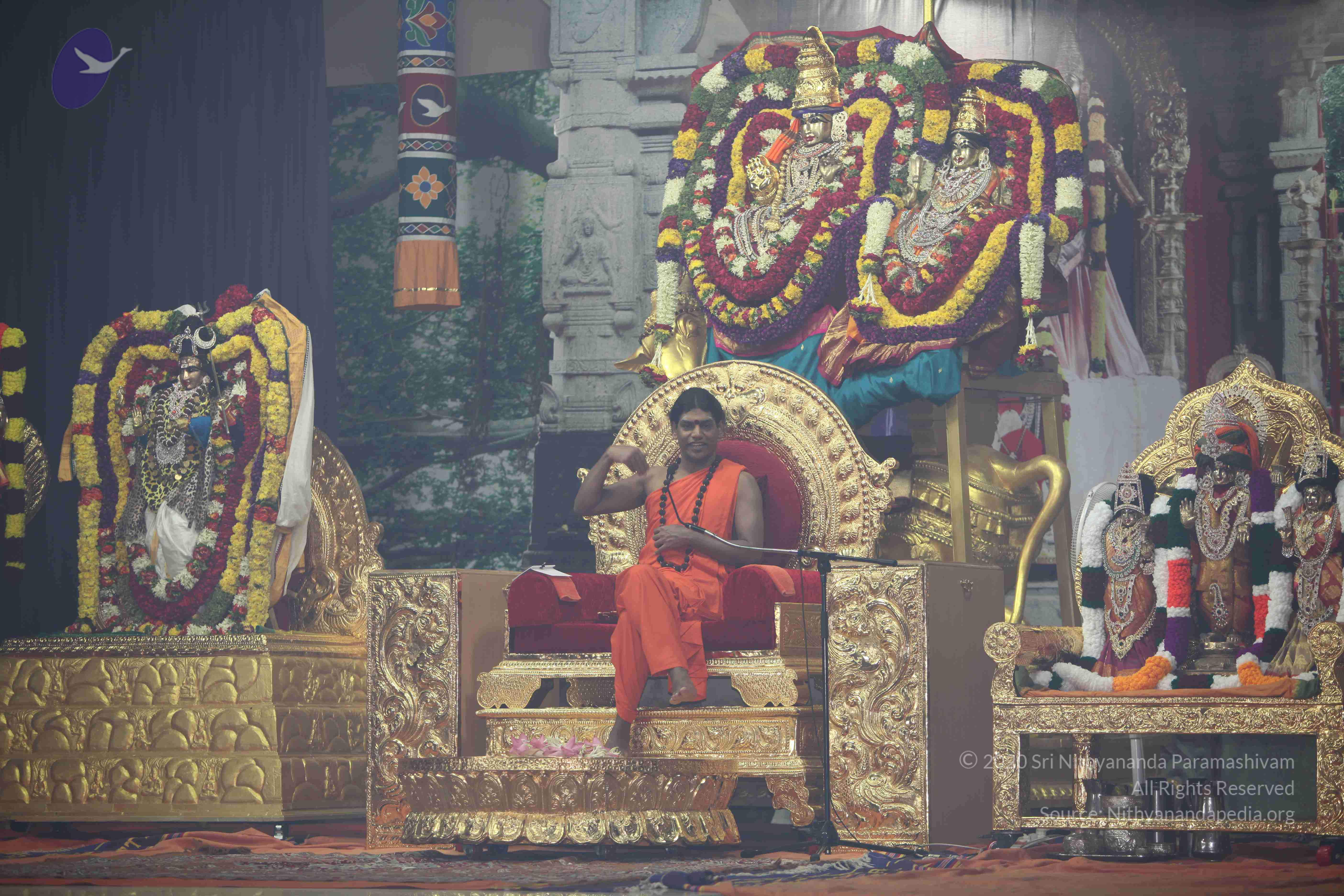 20101119_Photo_1072_IMG_9001_CMP_WM