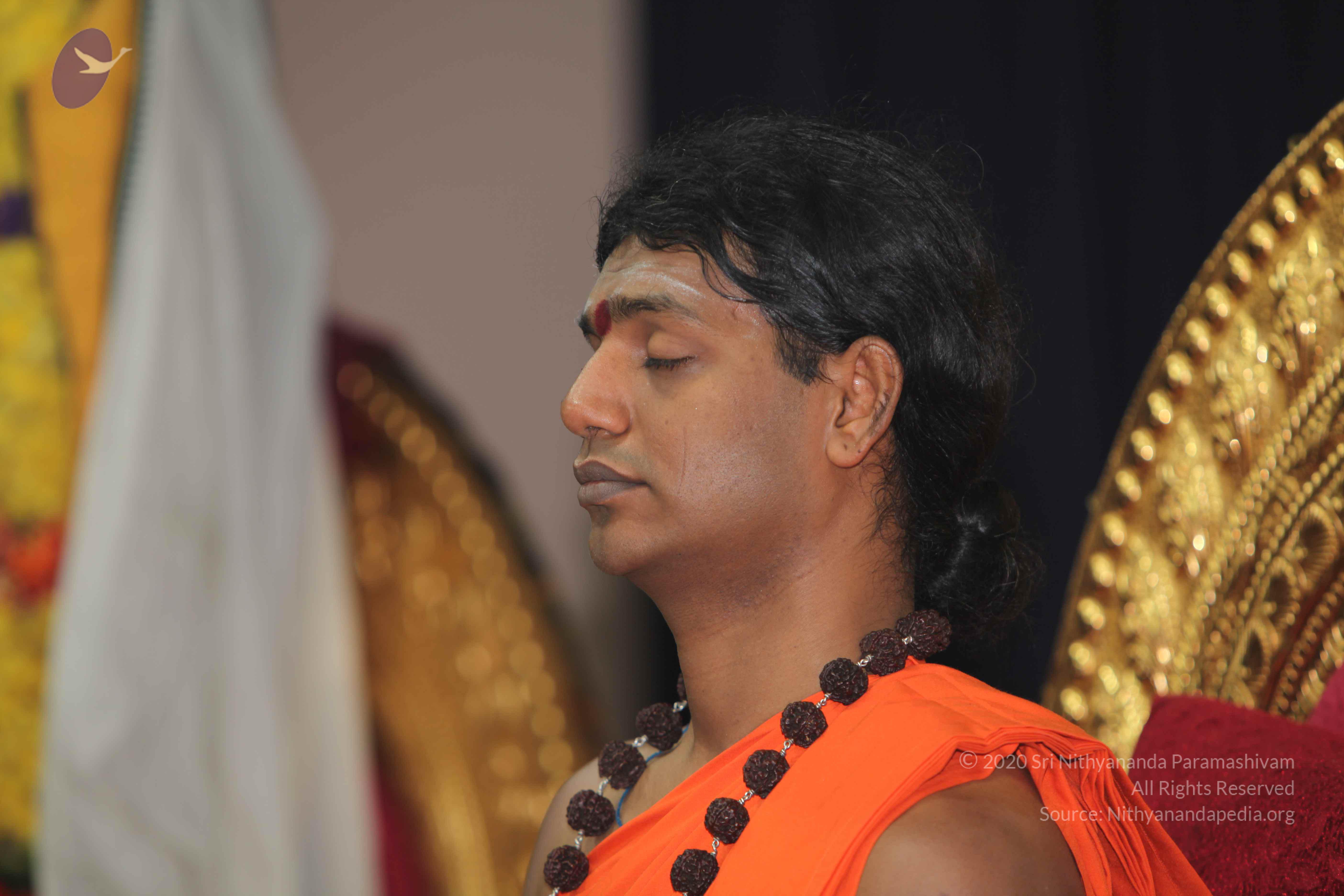 20101119_Photo_1074_IMG_8887_CMP_WM