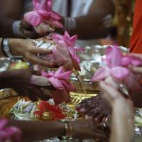 20101119_Photo_1075_IMG_8896_CMP_WM