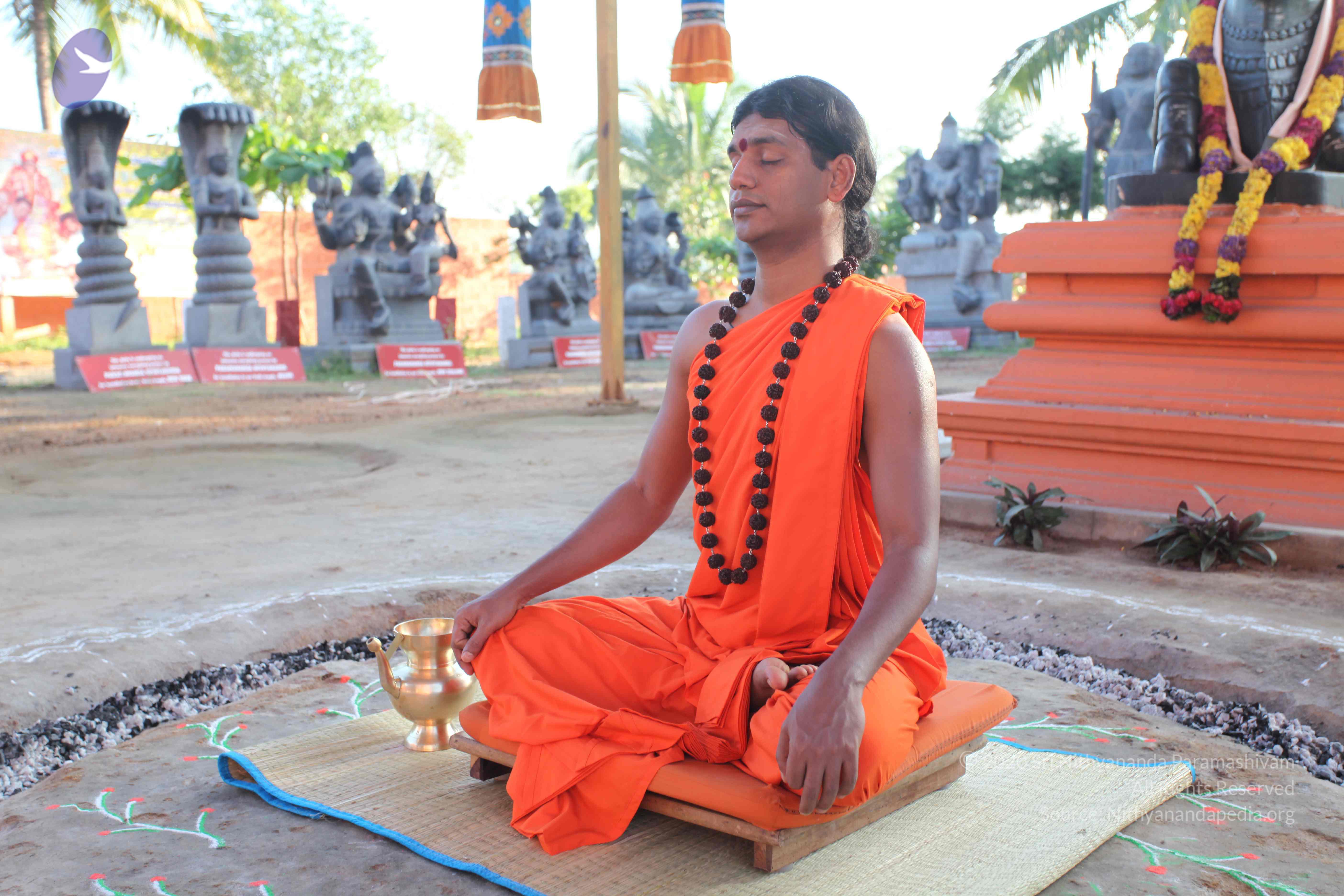 20101119_Photo_1079_IMG_8817_CMP_WM