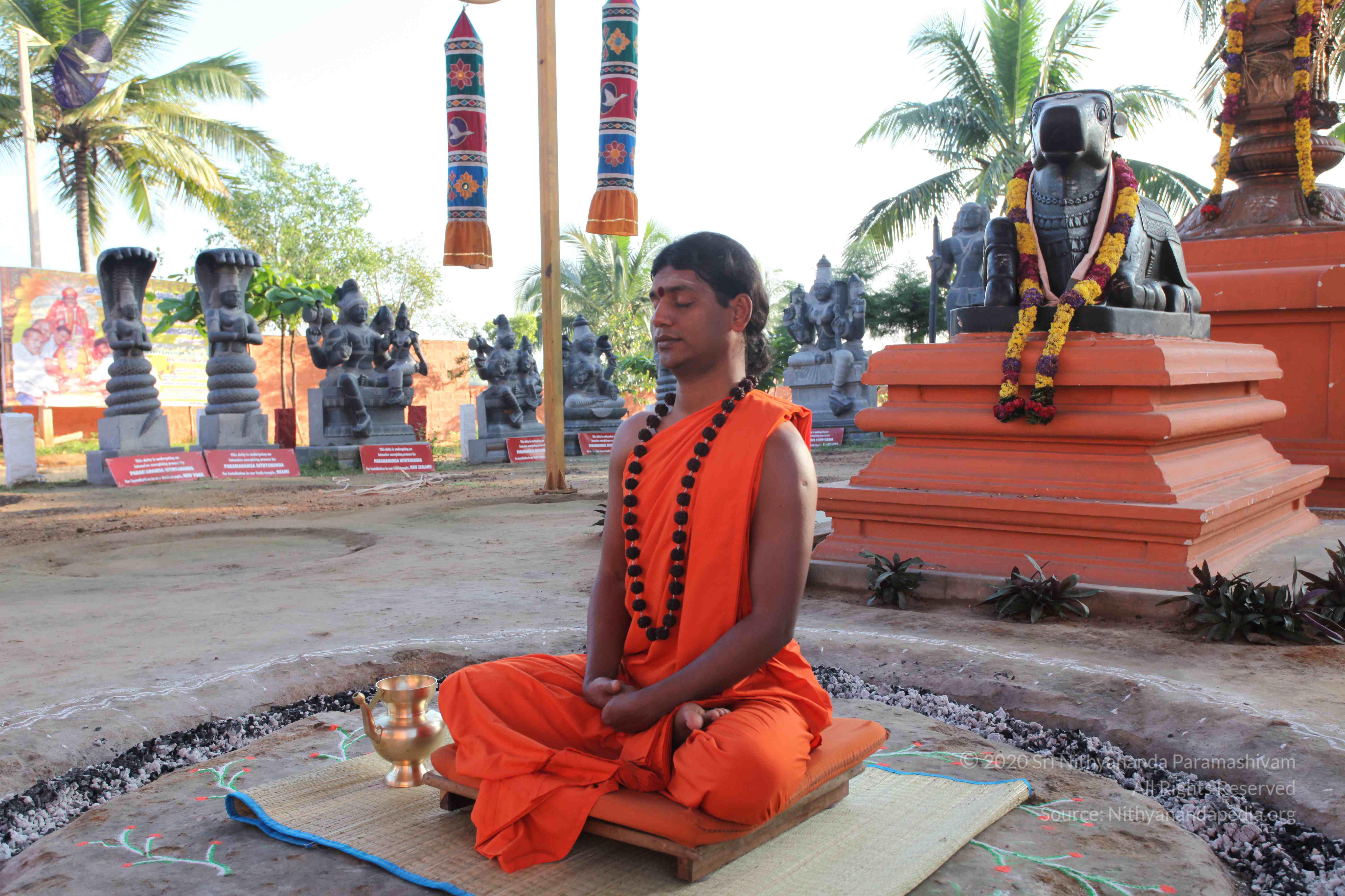 20101119_Photo_1080_IMG_8820_CMP_WM