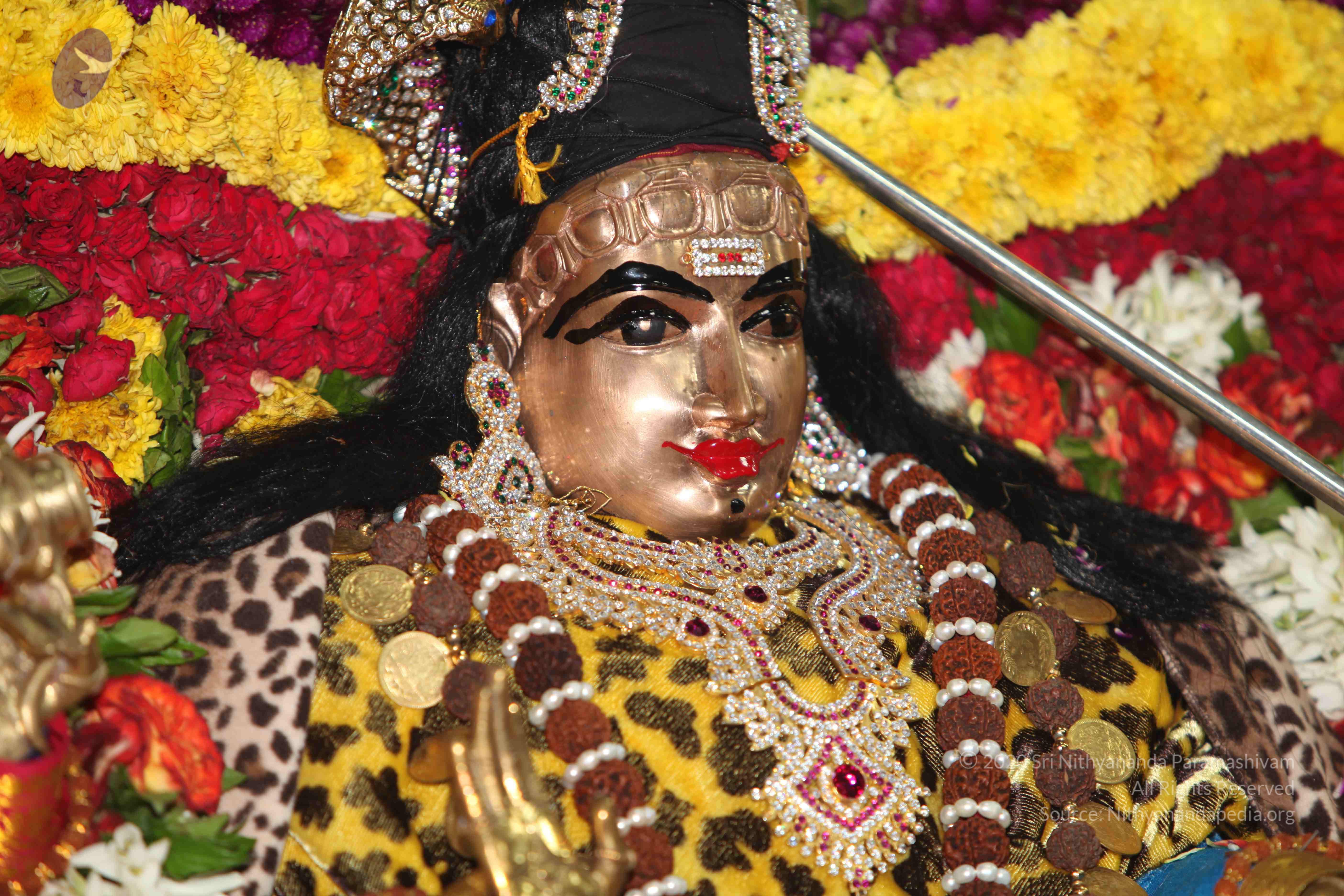 20101119_Photo_1081_IMG_8934_CMP_WM