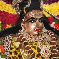 20101119_Photo_1081_IMG_8934_CMP_WM