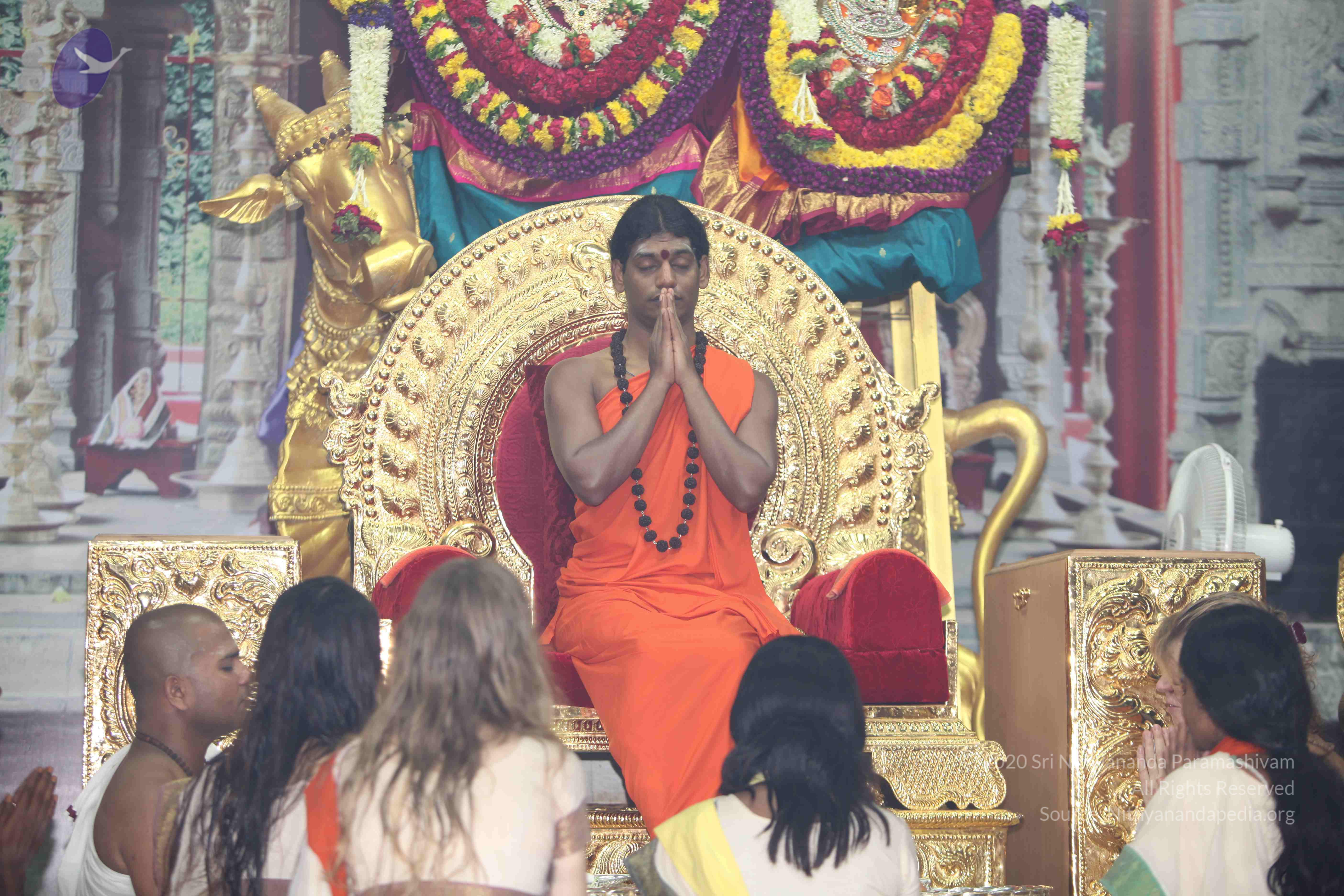 20101119_Photo_1084_IMG_8961_CMP_WM