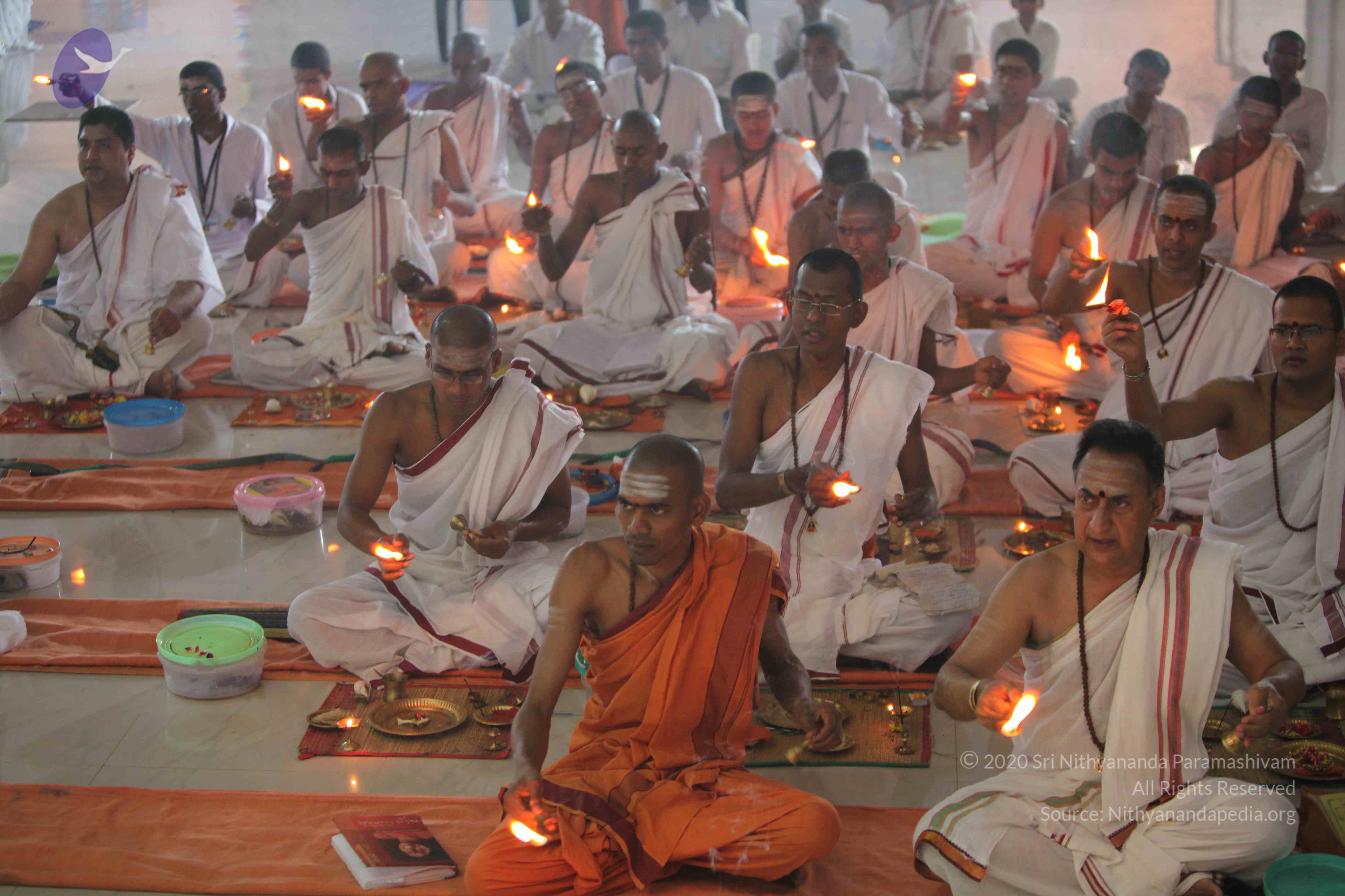 20101119_Photo_1085_IMG_8956_CMP_WM