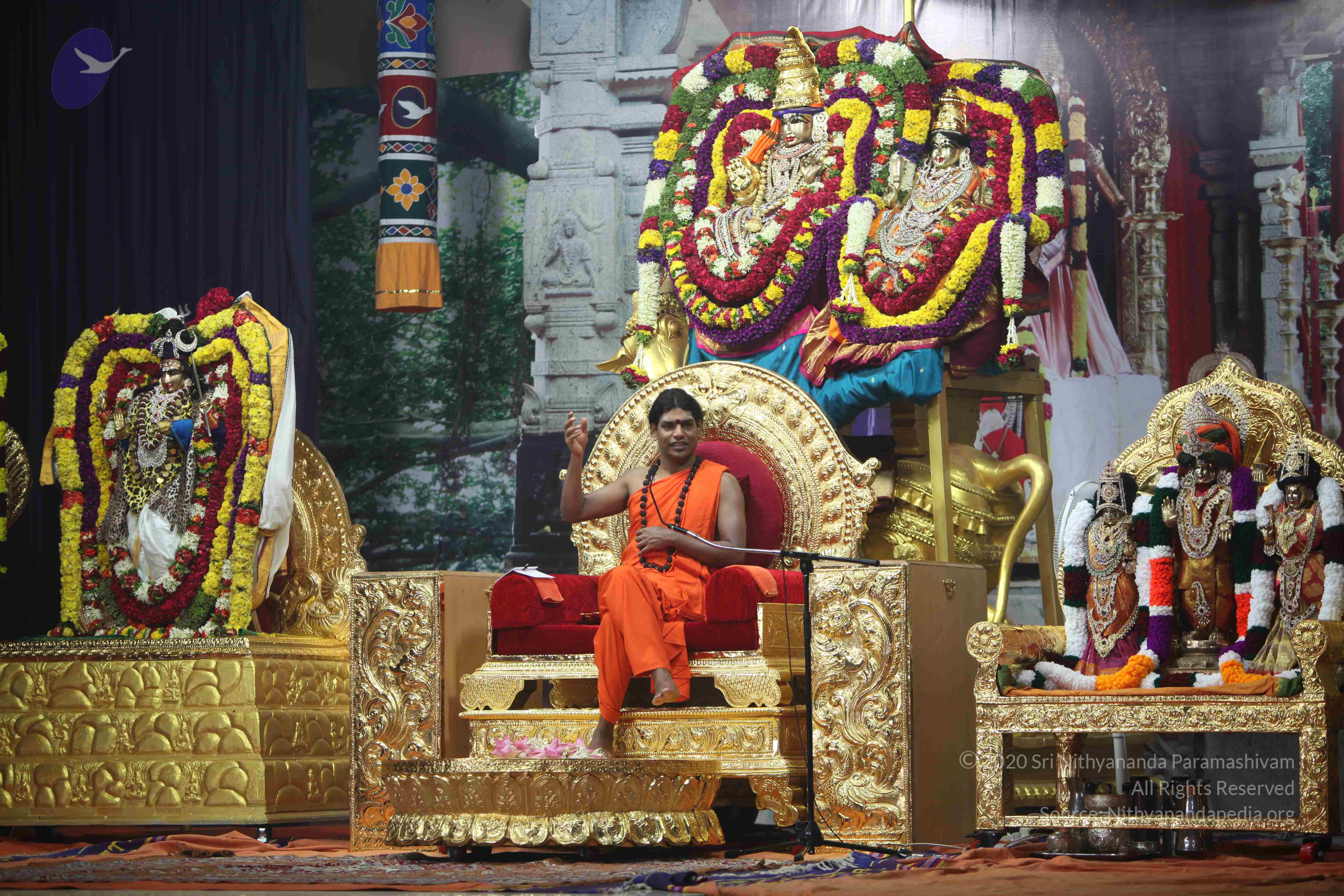 20101119_Photo_1086_IMG_9002_CMP_WM