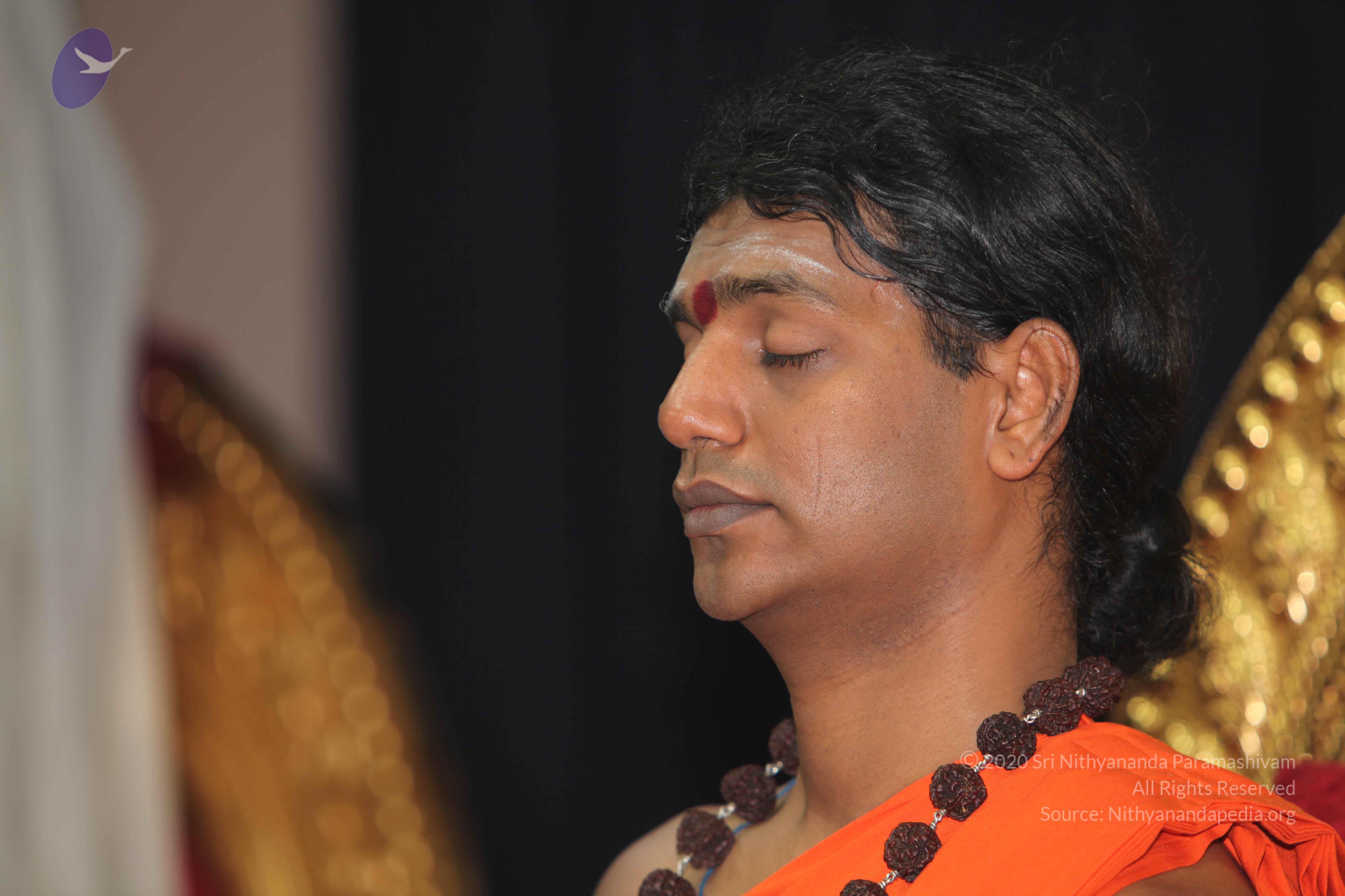 20101119_Photo_1090_IMG_8898_CMP_WM