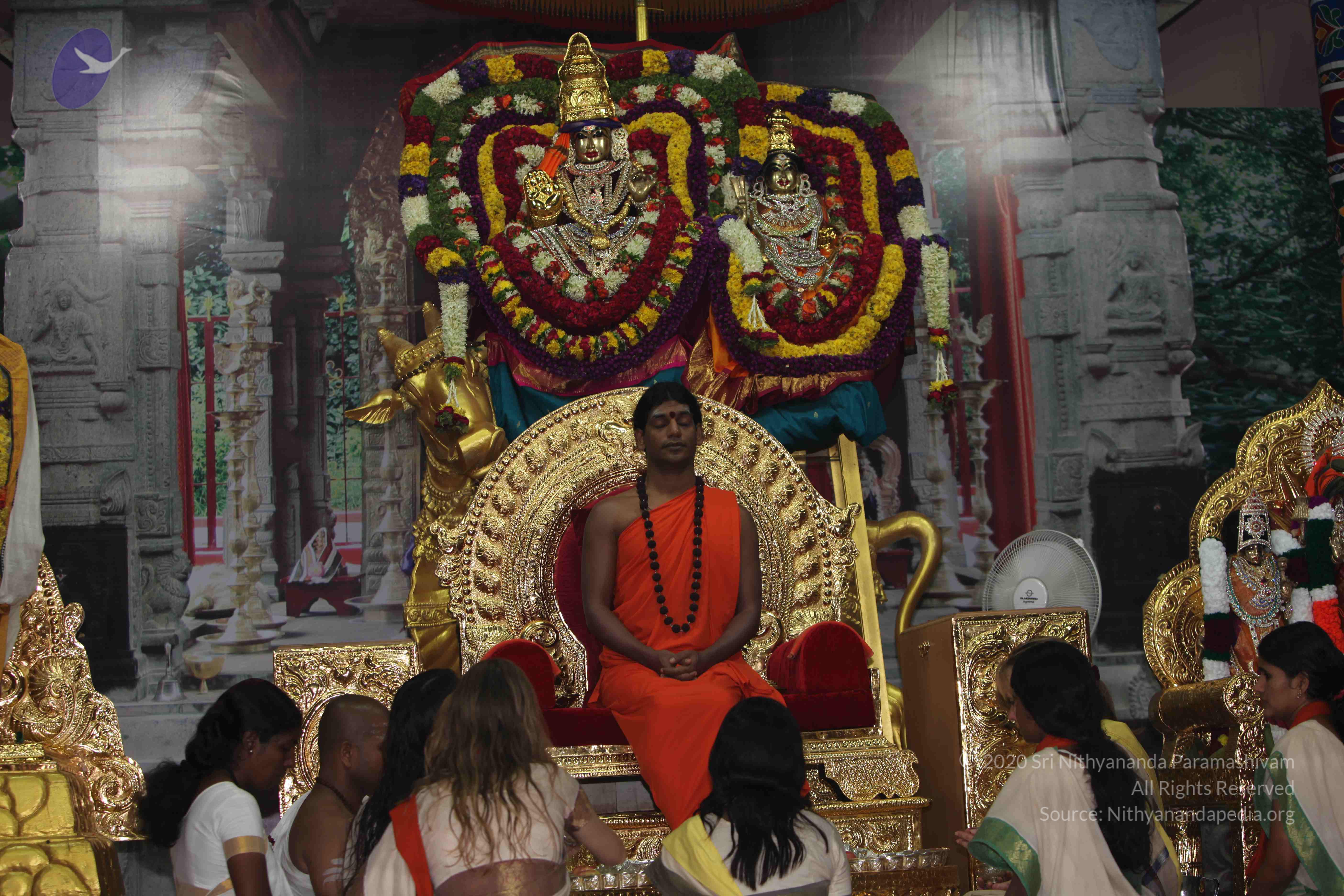 20101119_Photo_1095_IMG_8911_CMP_WM