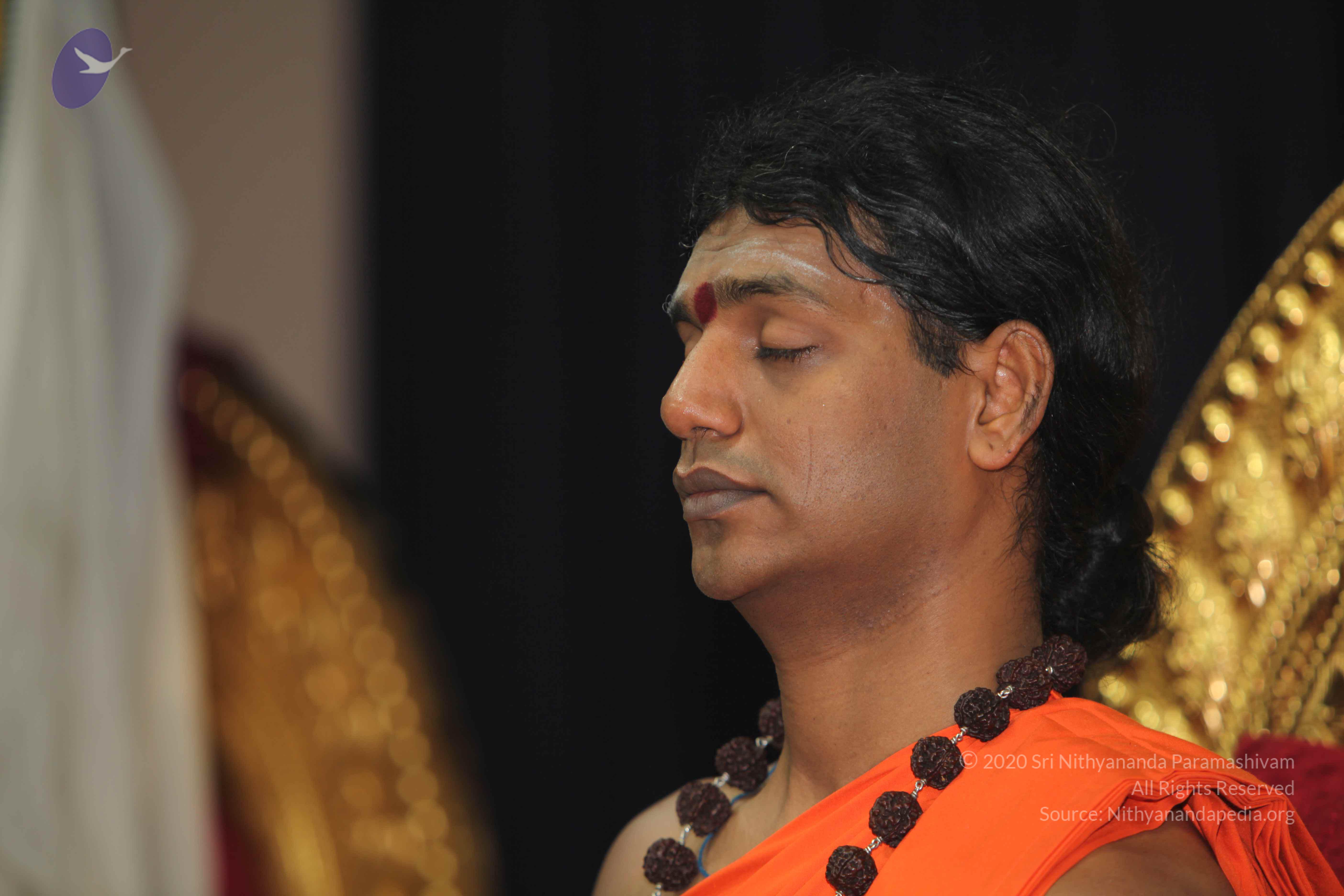 20101119_Photo_1100_IMG_8900_CMP_WM