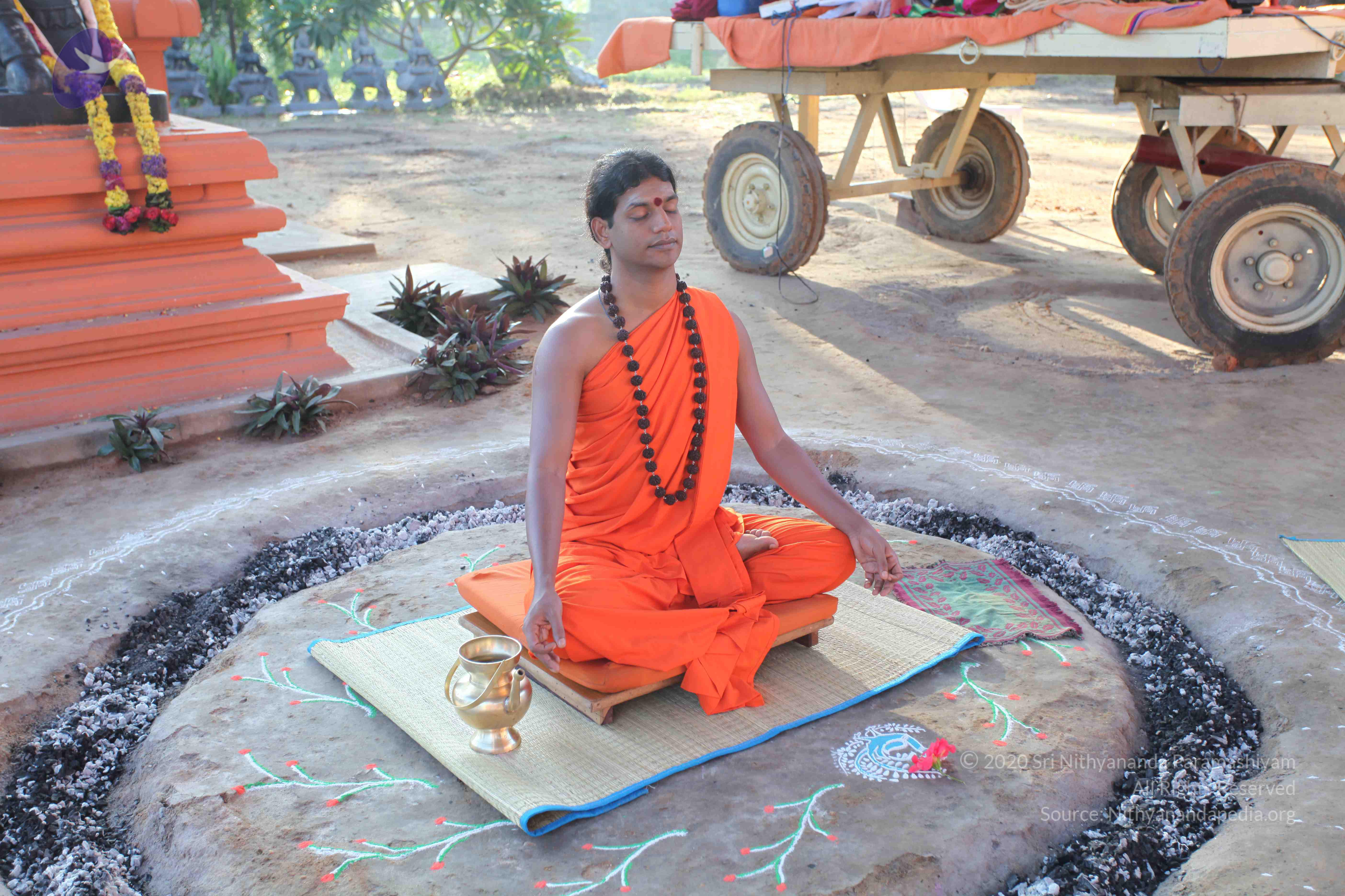 20101119_Photo_1101_IMG_8841_CMP_WM