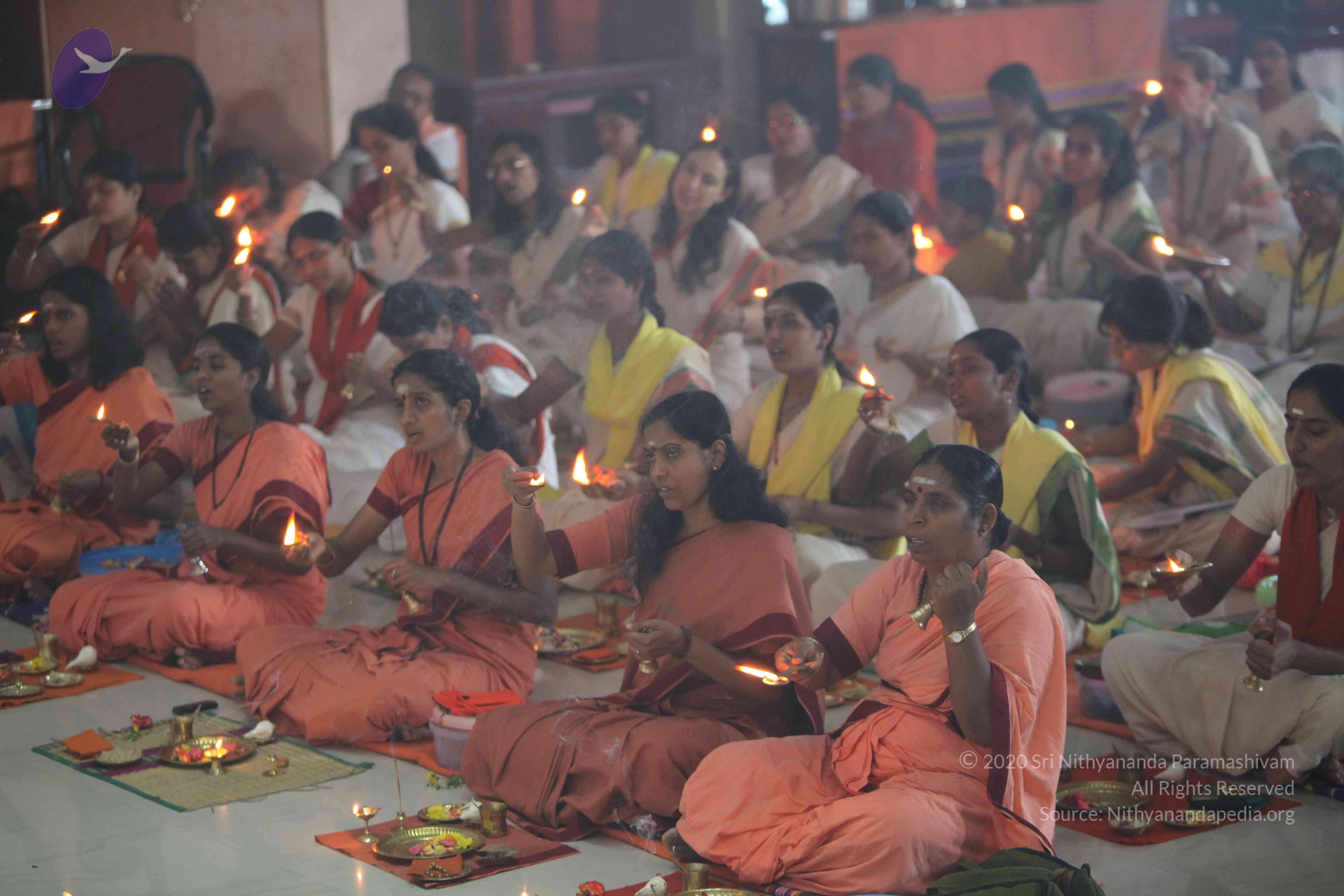 20101119_Photo_1103_IMG_8955_CMP_WM