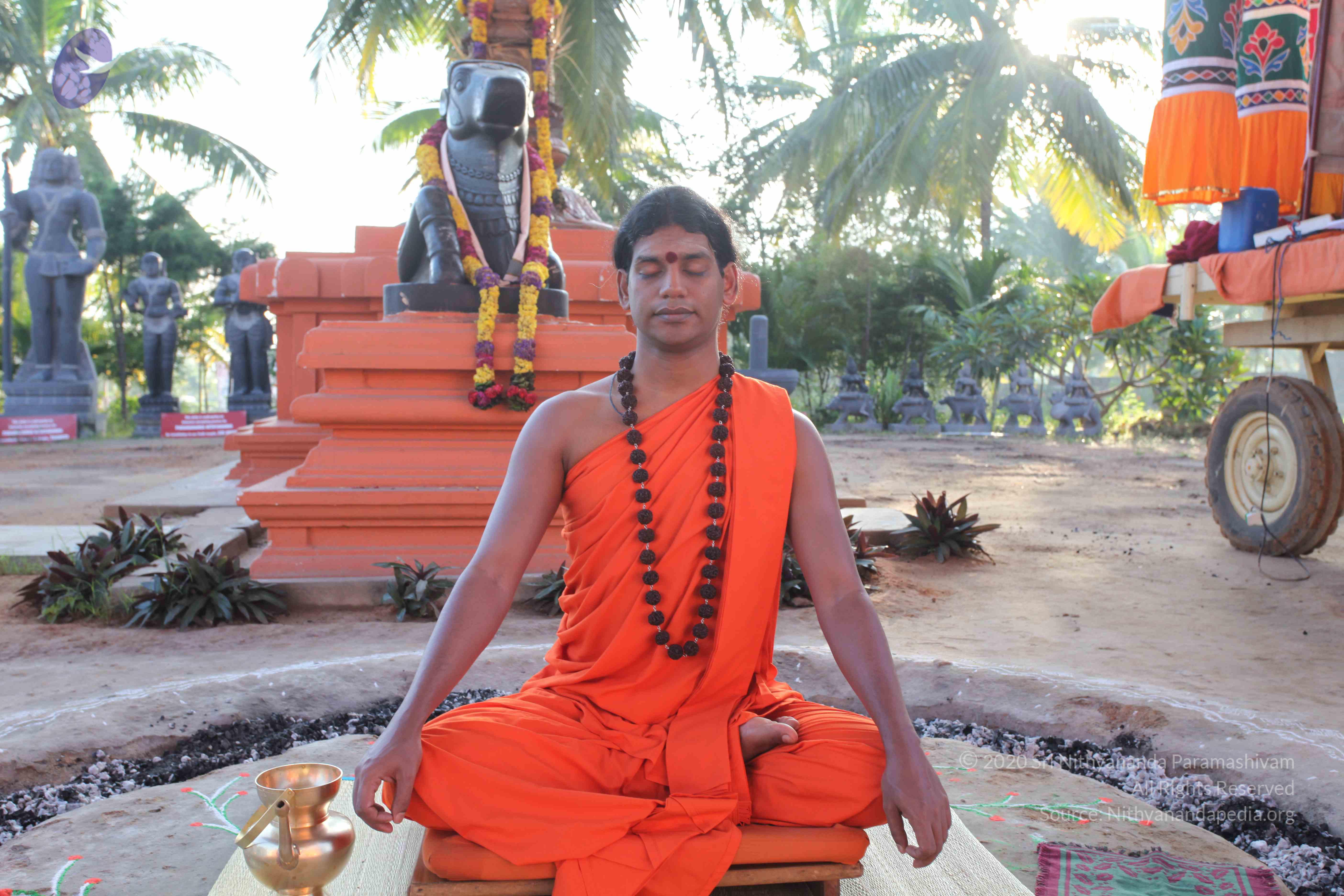 20101119_Photo_1107_IMG_8808_CMP_WM