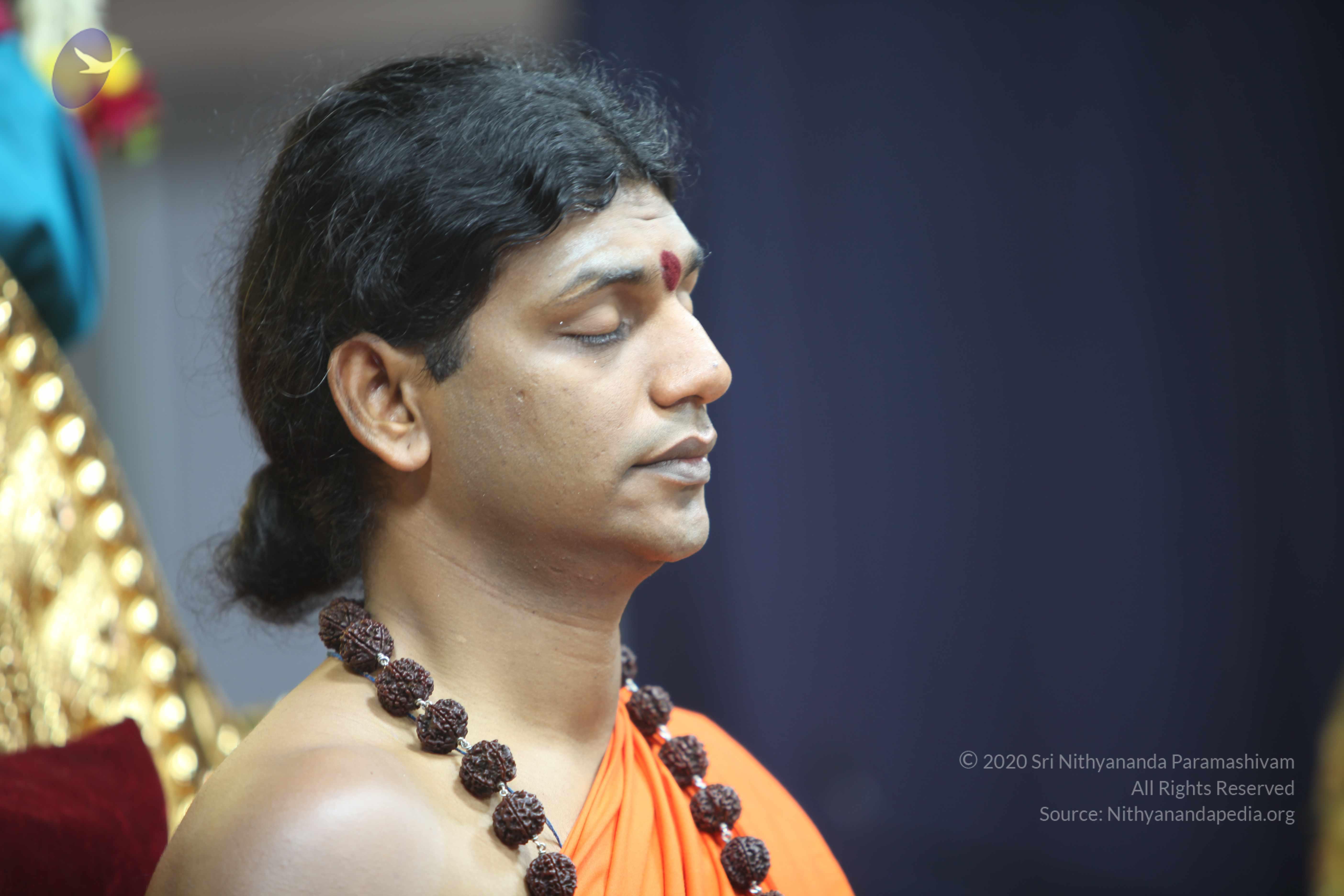 20101119_Photo_1112_IMG_8932_CMP_WM