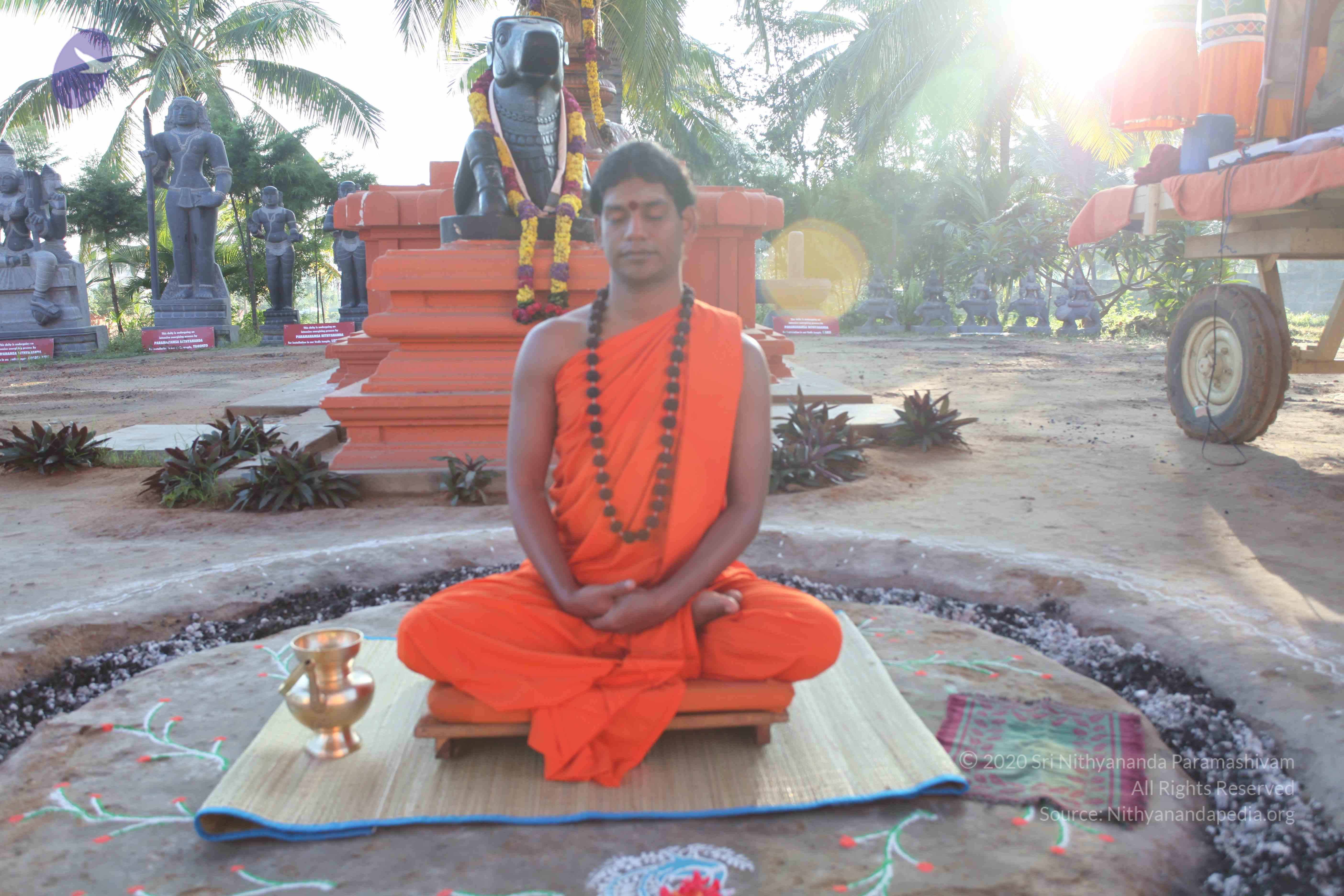 20101119_Photo_1113_IMG_8826_CMP_WM