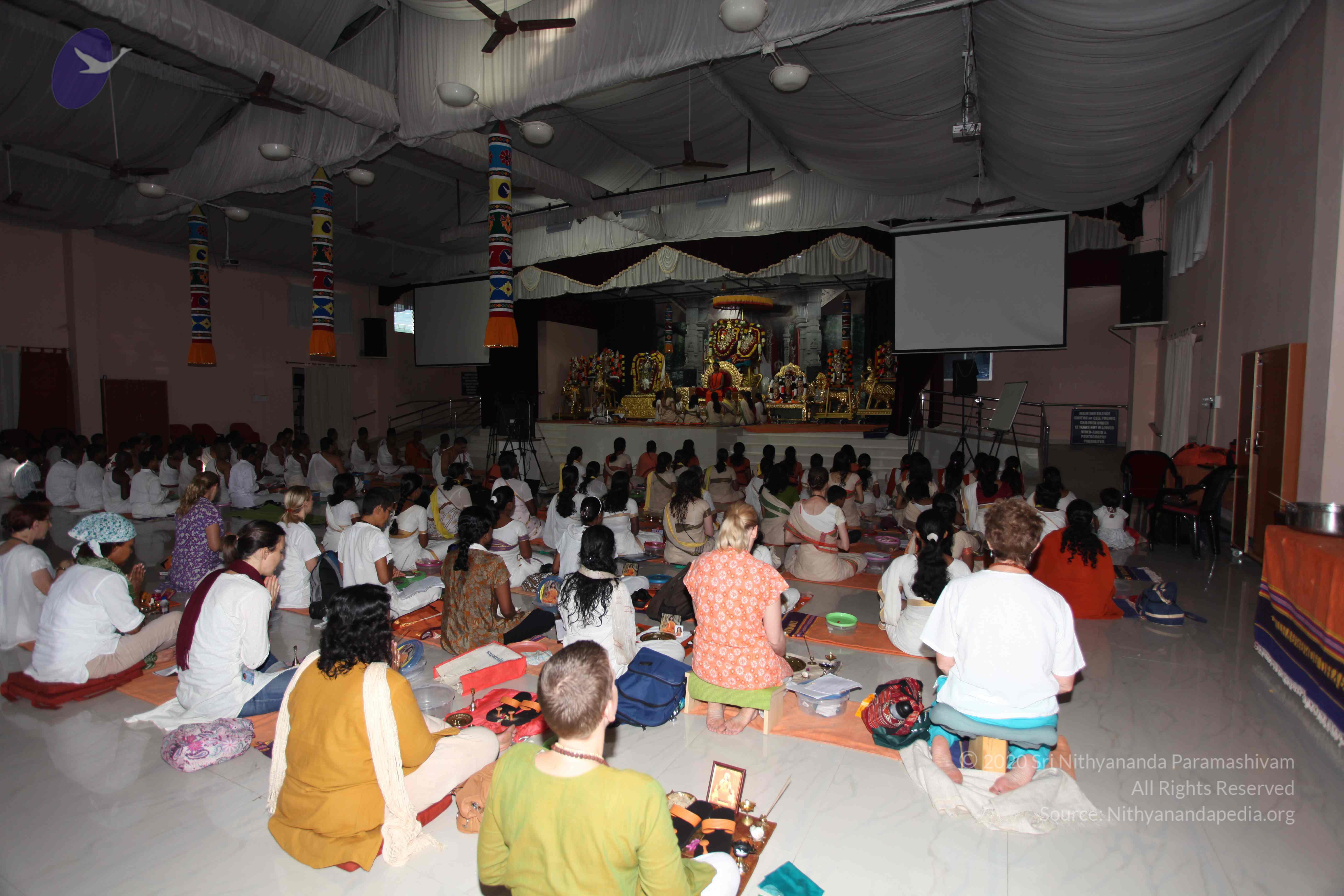 20101119_Photo_1115_IMG_8873_CMP_WM