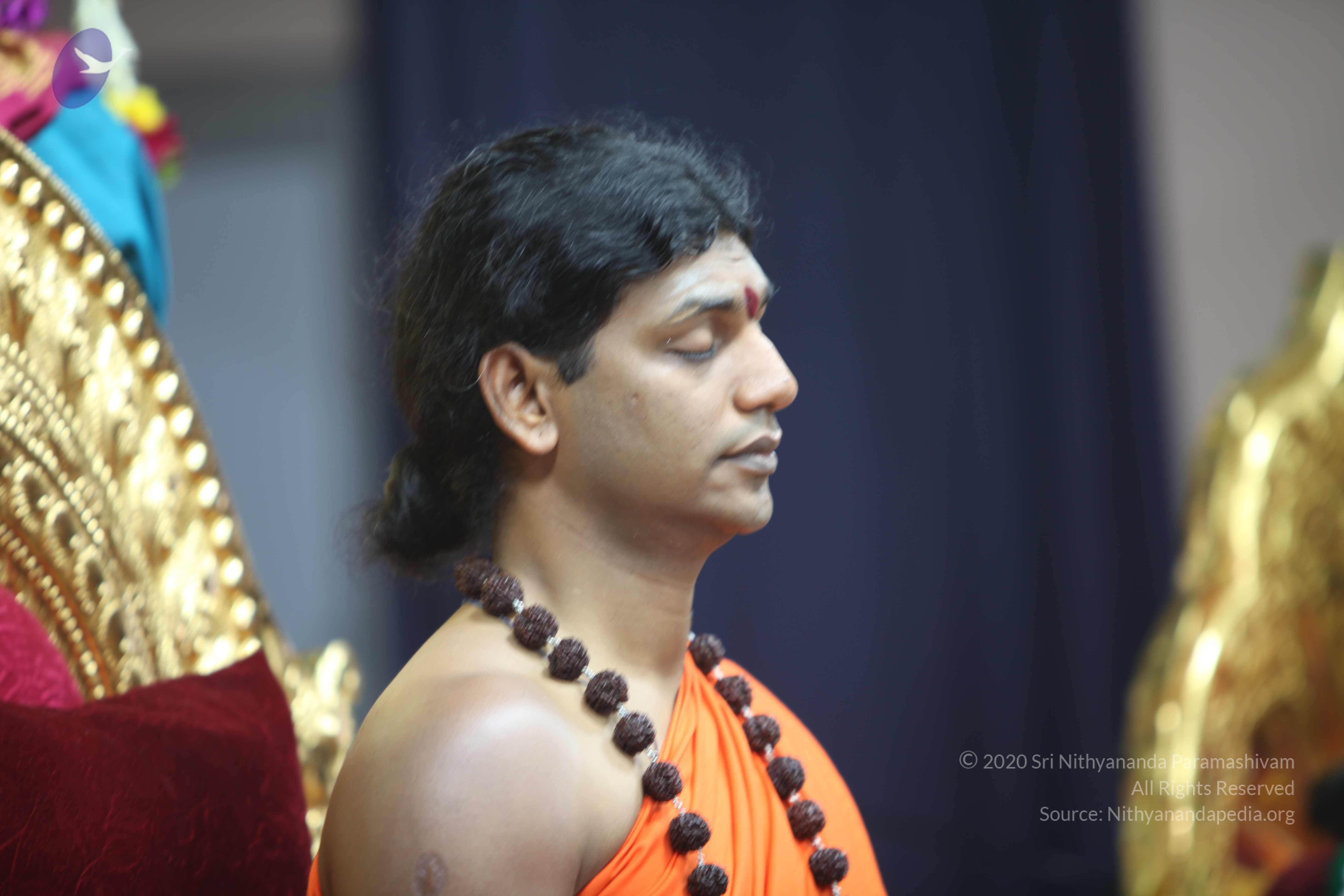 20101119_Photo_1128_IMG_8923_CMP_WM