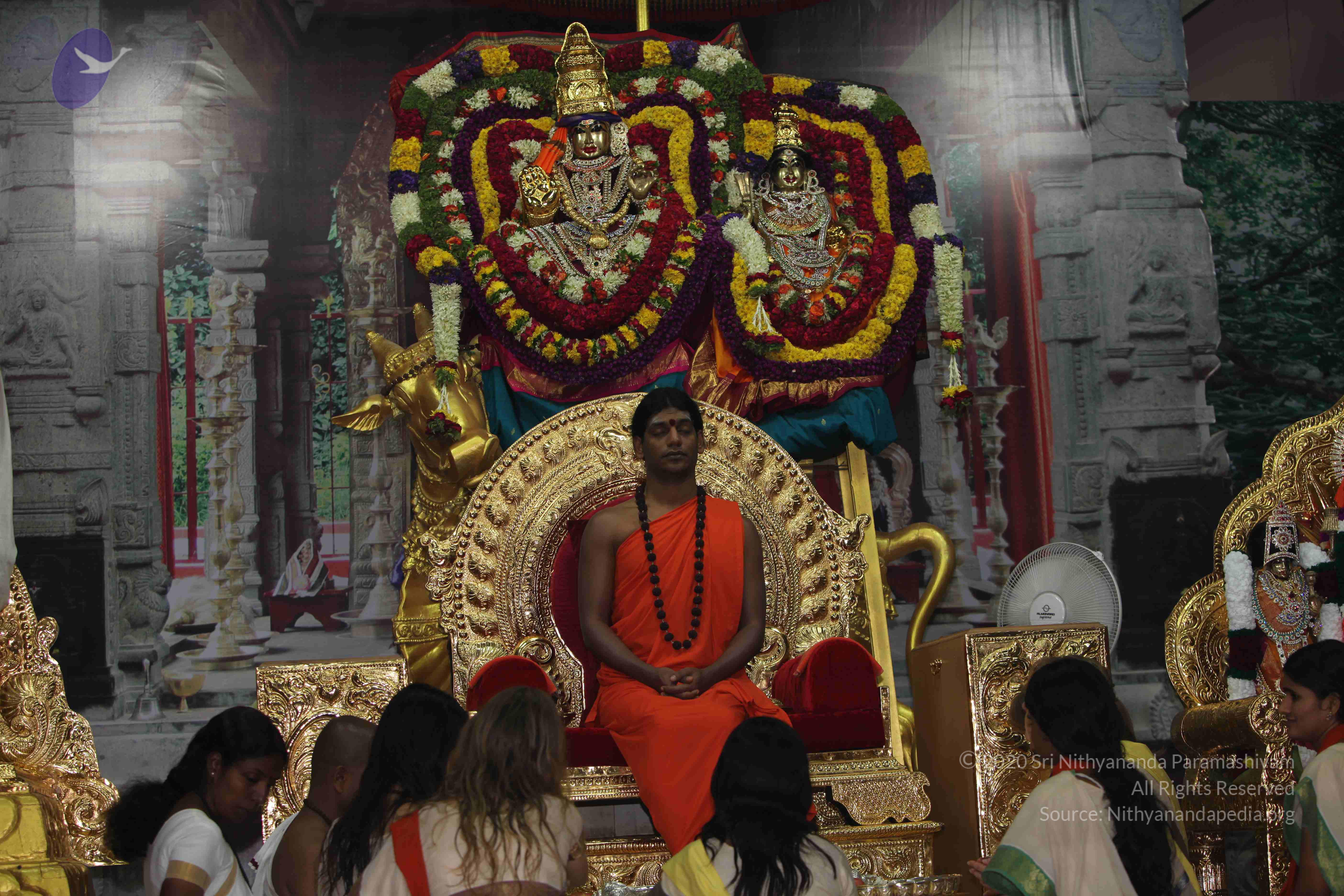 20101119_Photo_1134_IMG_8913_CMP_WM