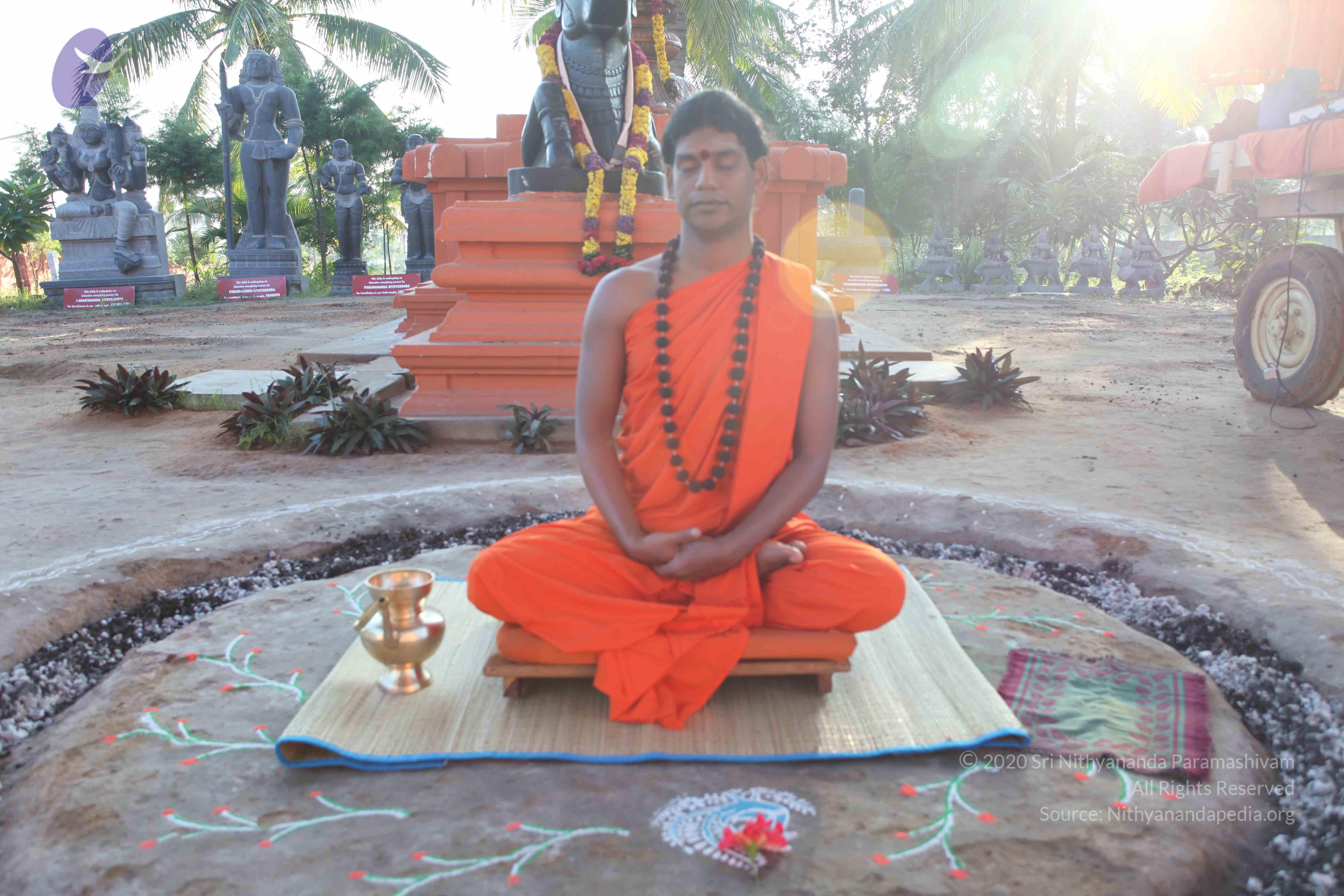 20101119_Photo_1135_IMG_8830_CMP_WM