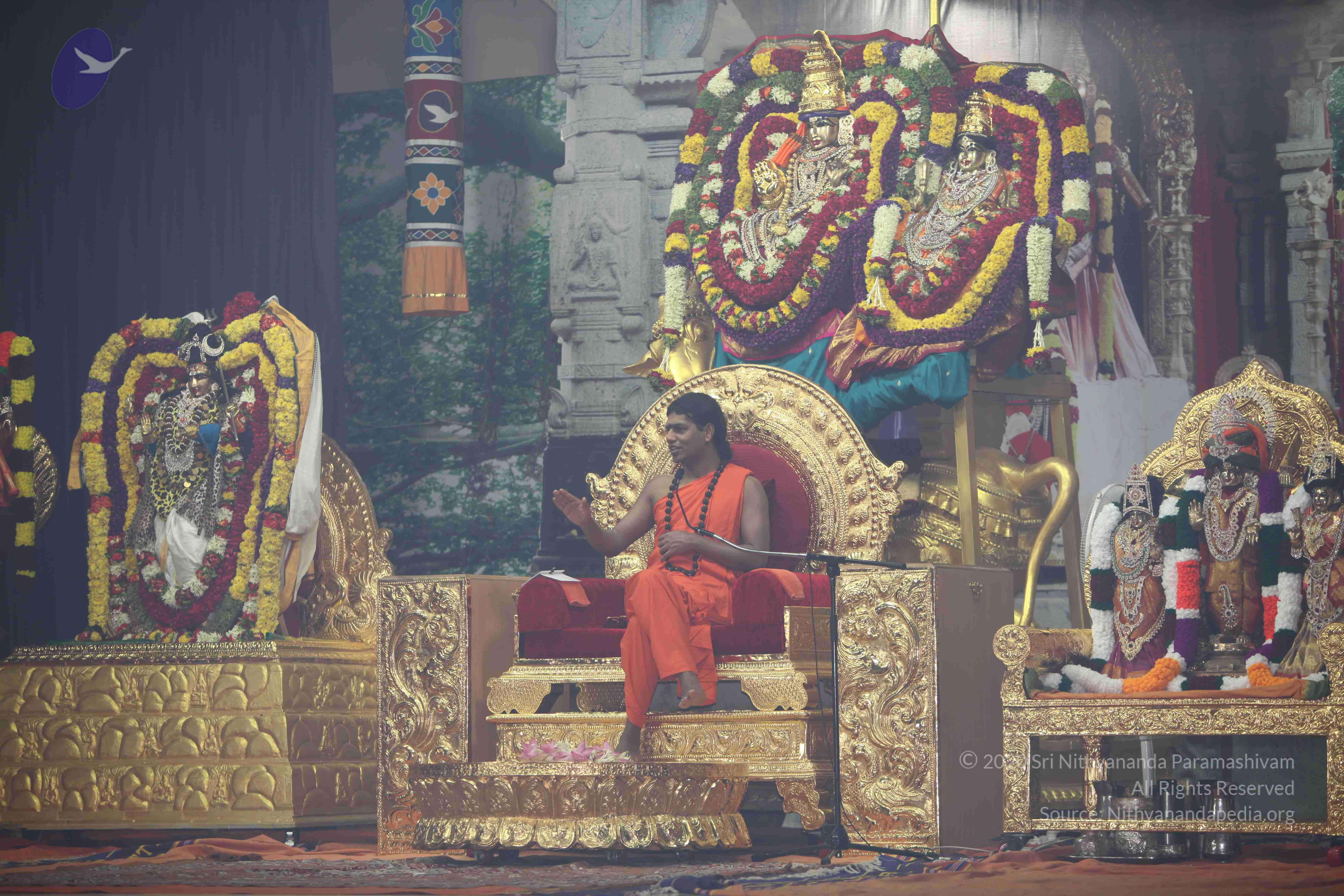 20101119_Photo_1138_IMG_9000_CMP_WM