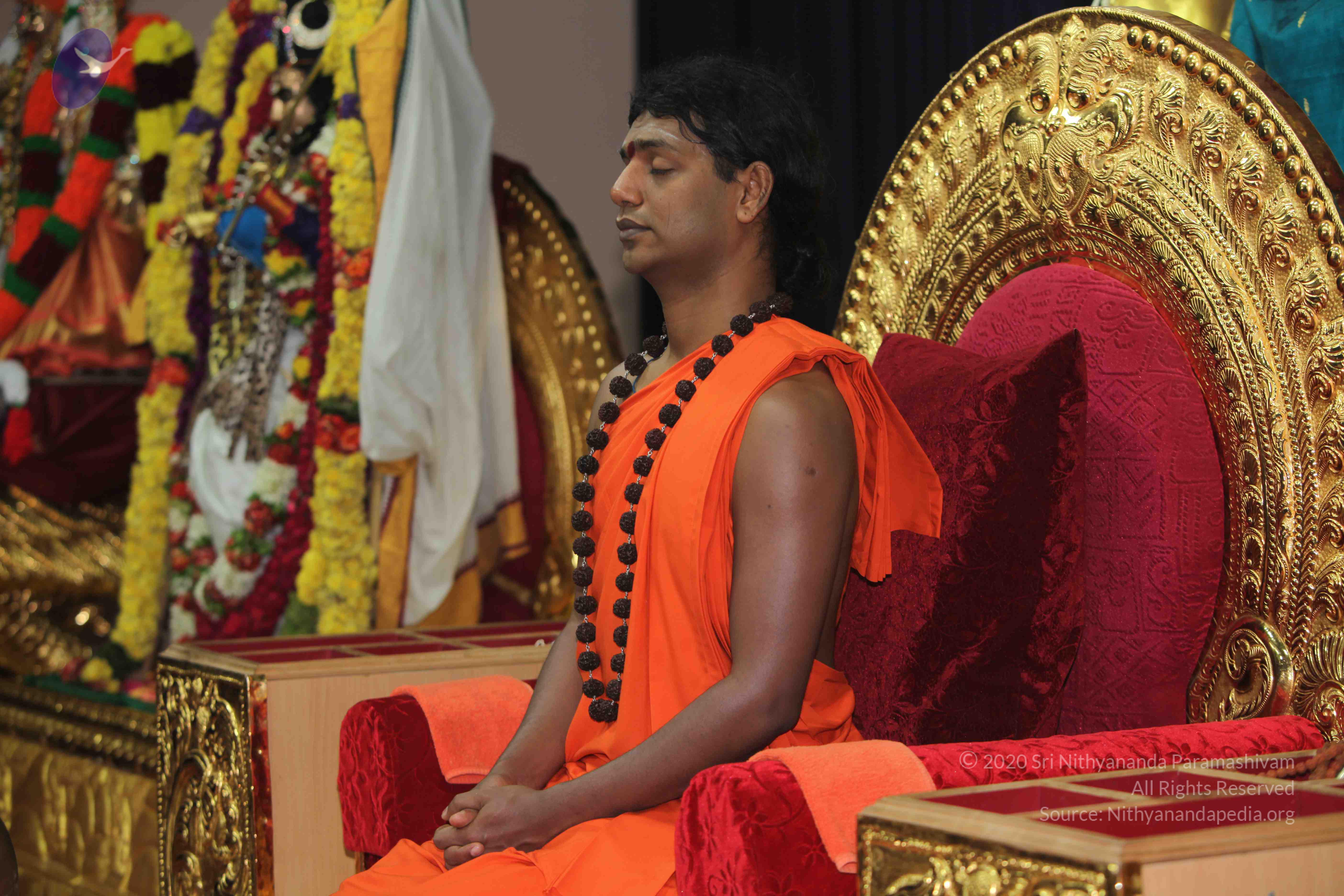 20101119_Photo_1140_IMG_8886_CMP_WM