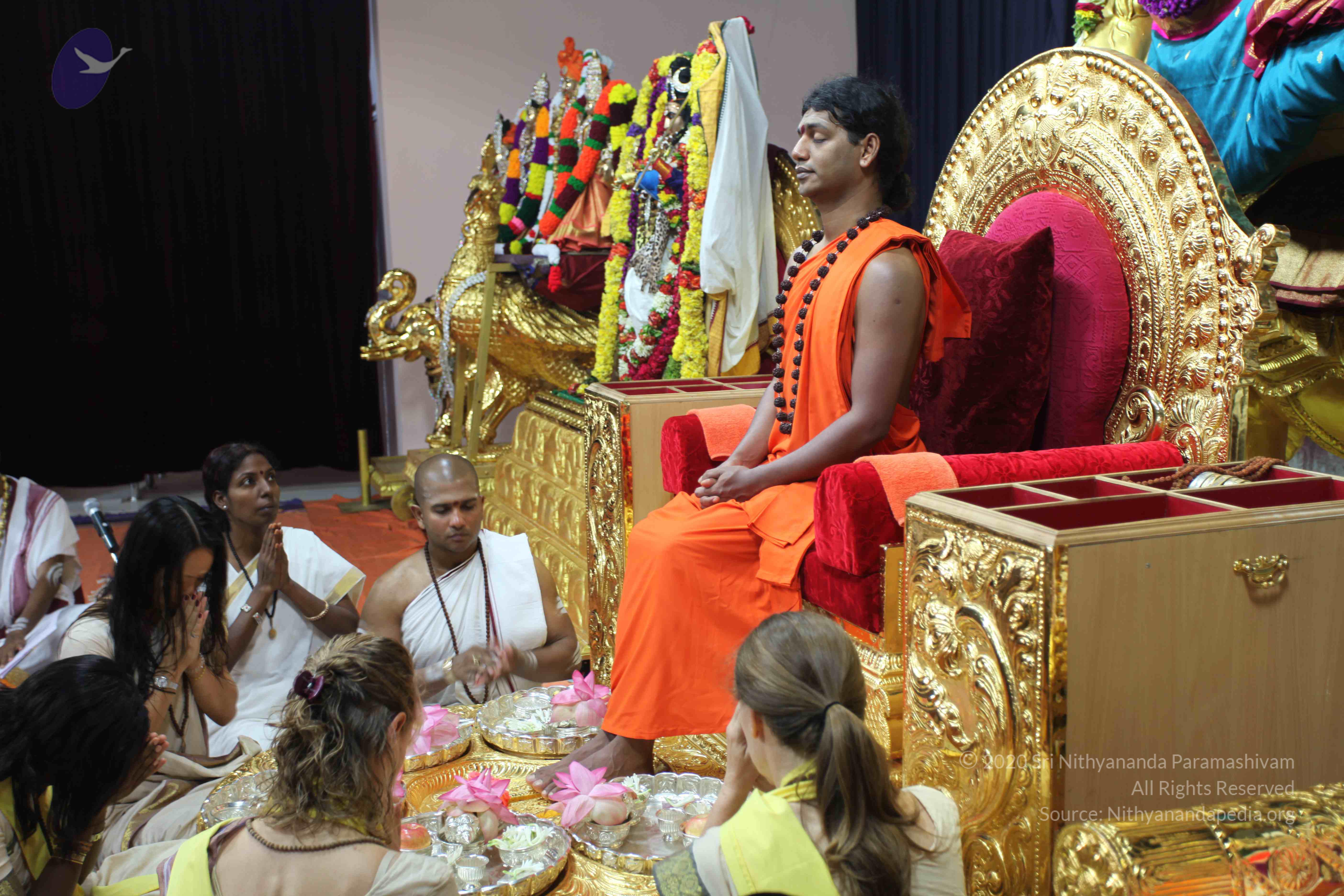 20101119_Photo_1141_IMG_8879_CMP_WM