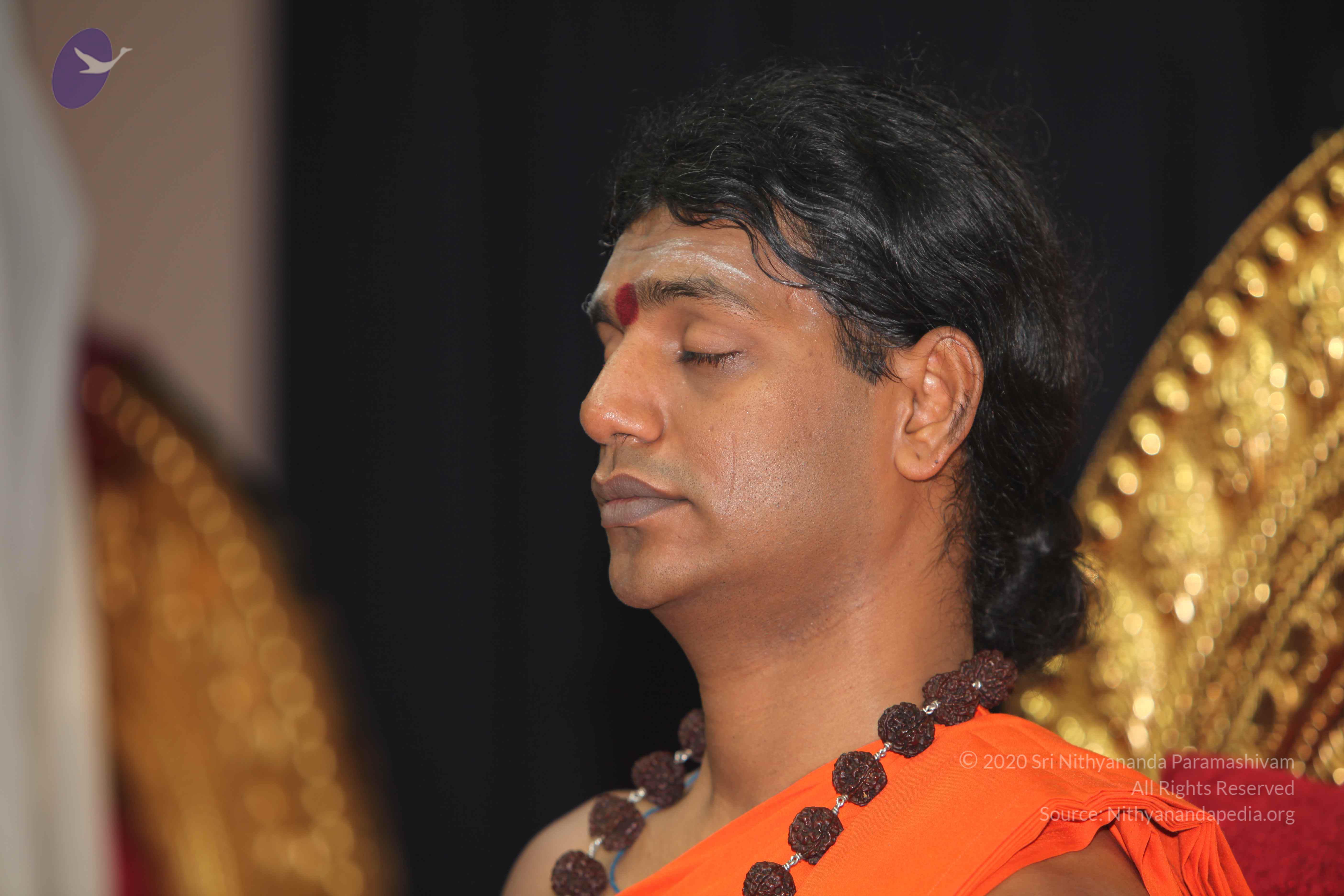 20101119_Photo_1145_IMG_8897_CMP_WM