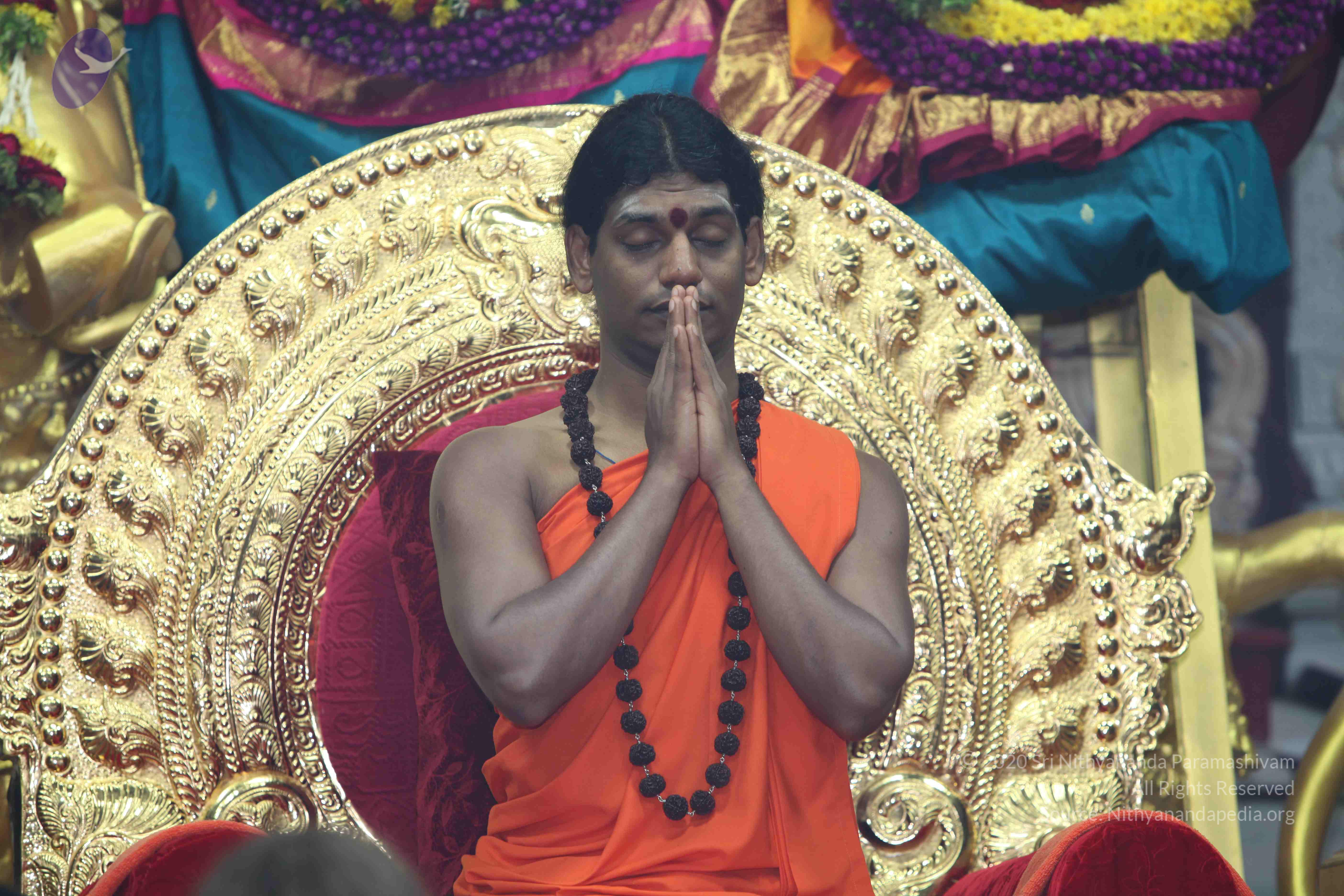 20101119_Photo_1151_IMG_8960_CMP_WM