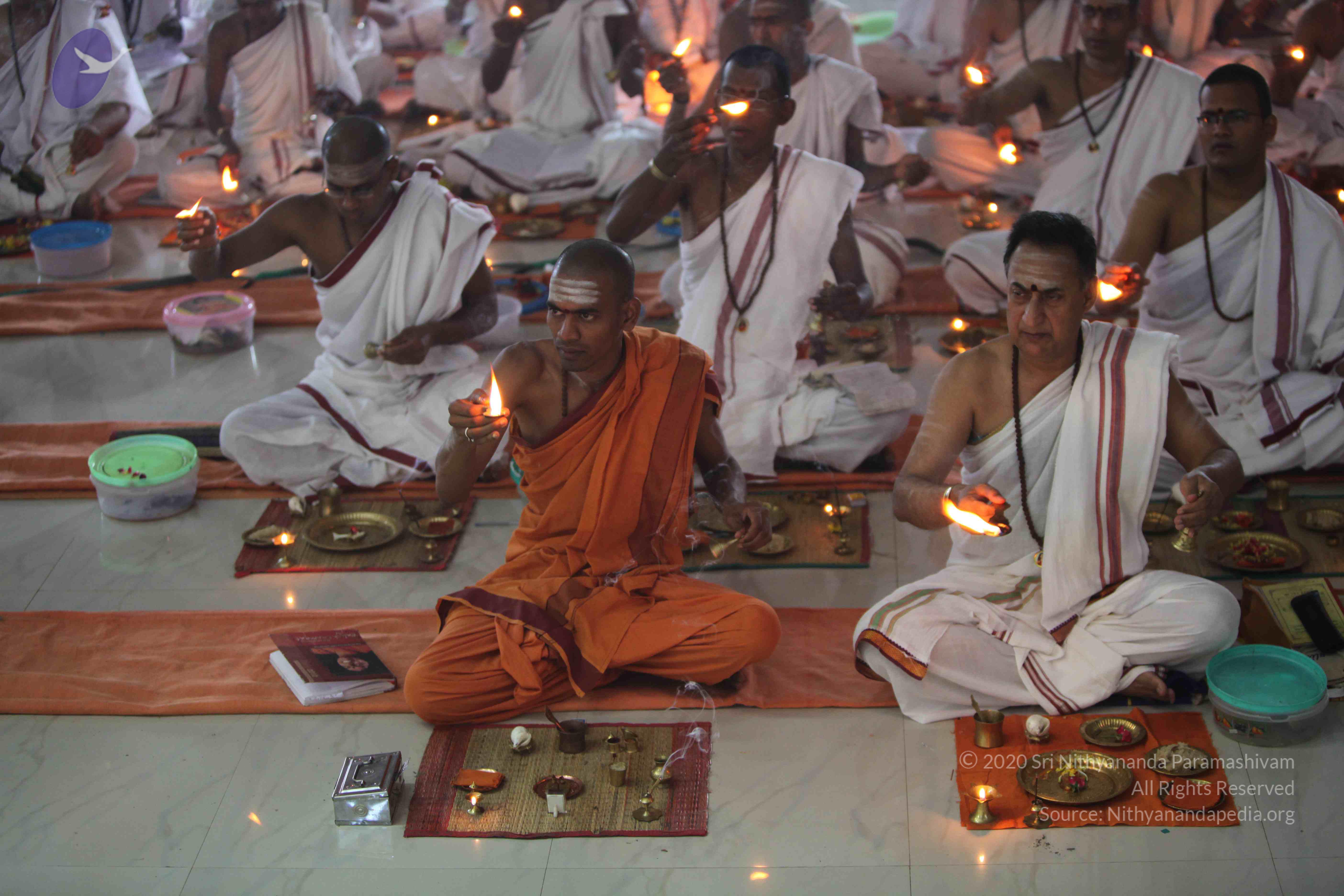 20101119_Photo_1152_IMG_8957_CMP_WM