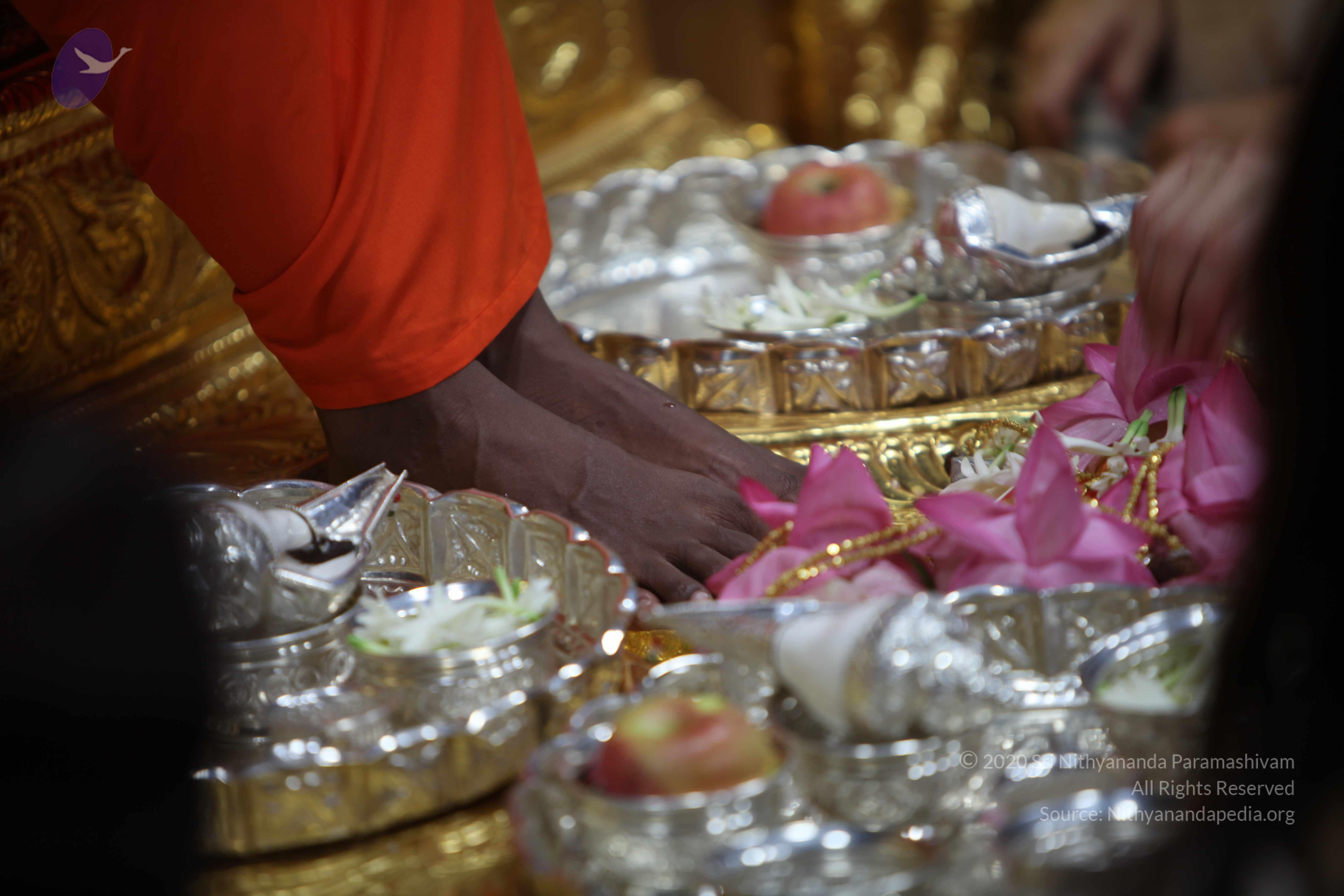 20101119_Photo_1157_IMG_8930_CMP_WM