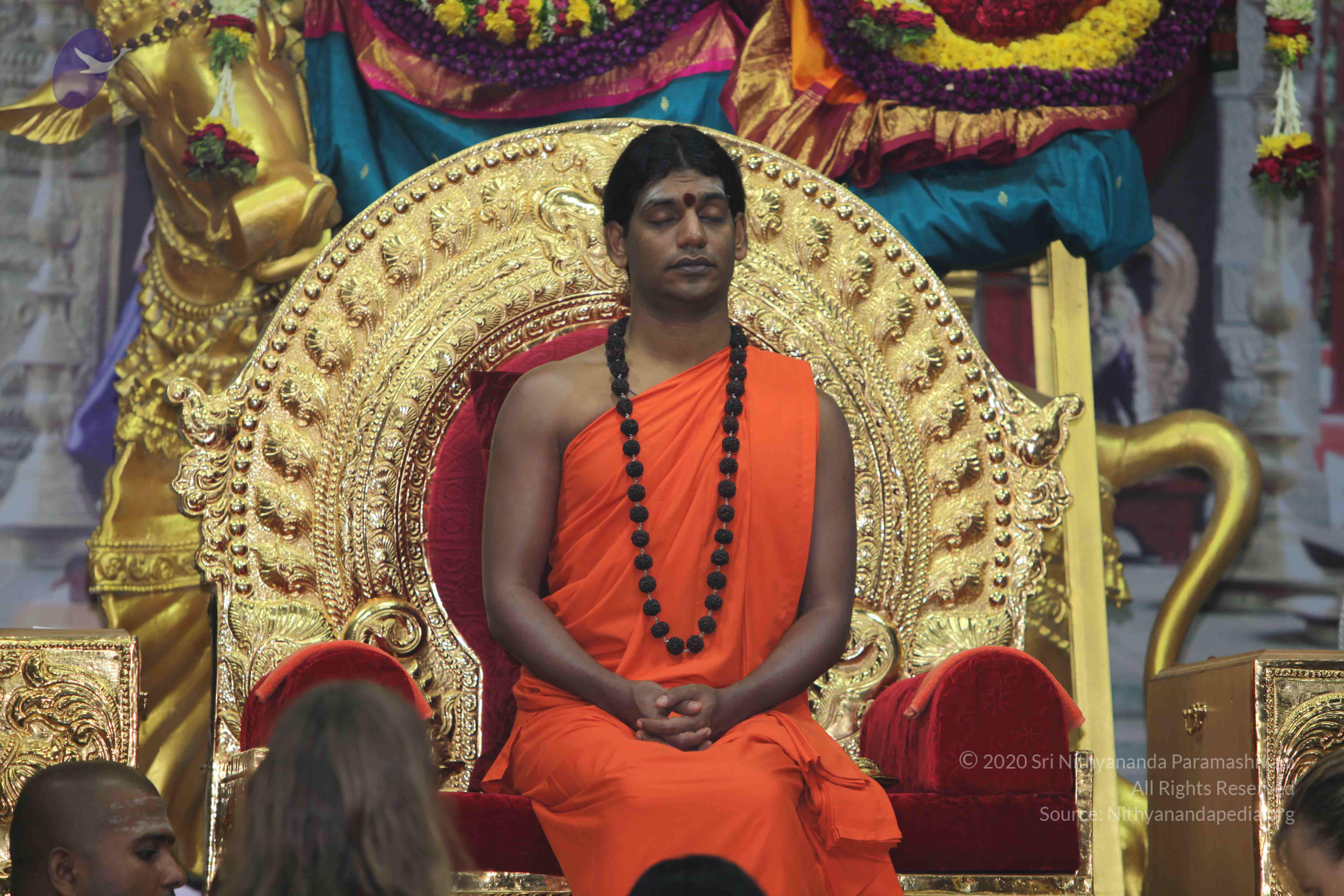 20101119_Photo_1158_IMG_8907_CMP_WM