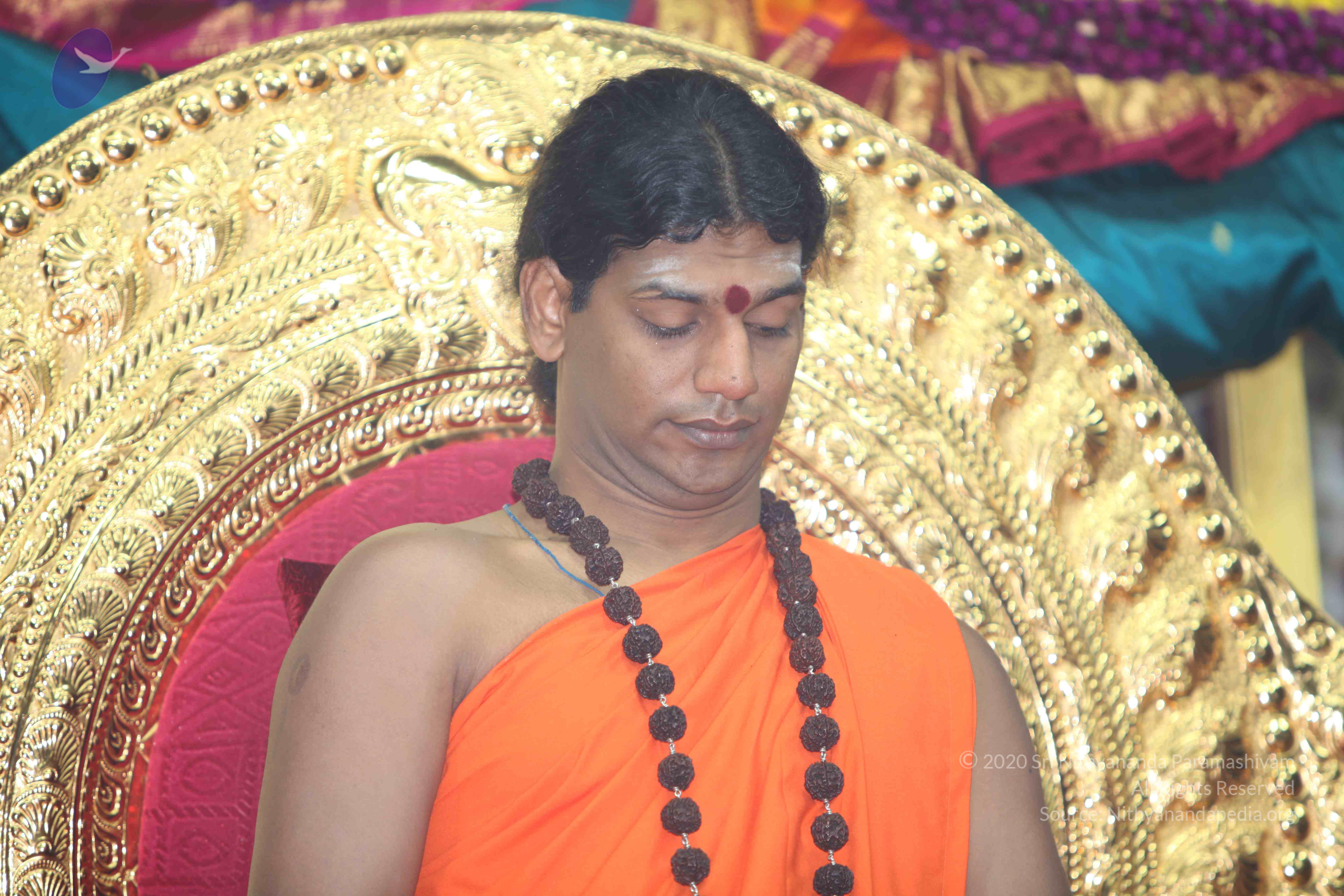 20101119_Photo_1167_IMG_8968_CMP_WM