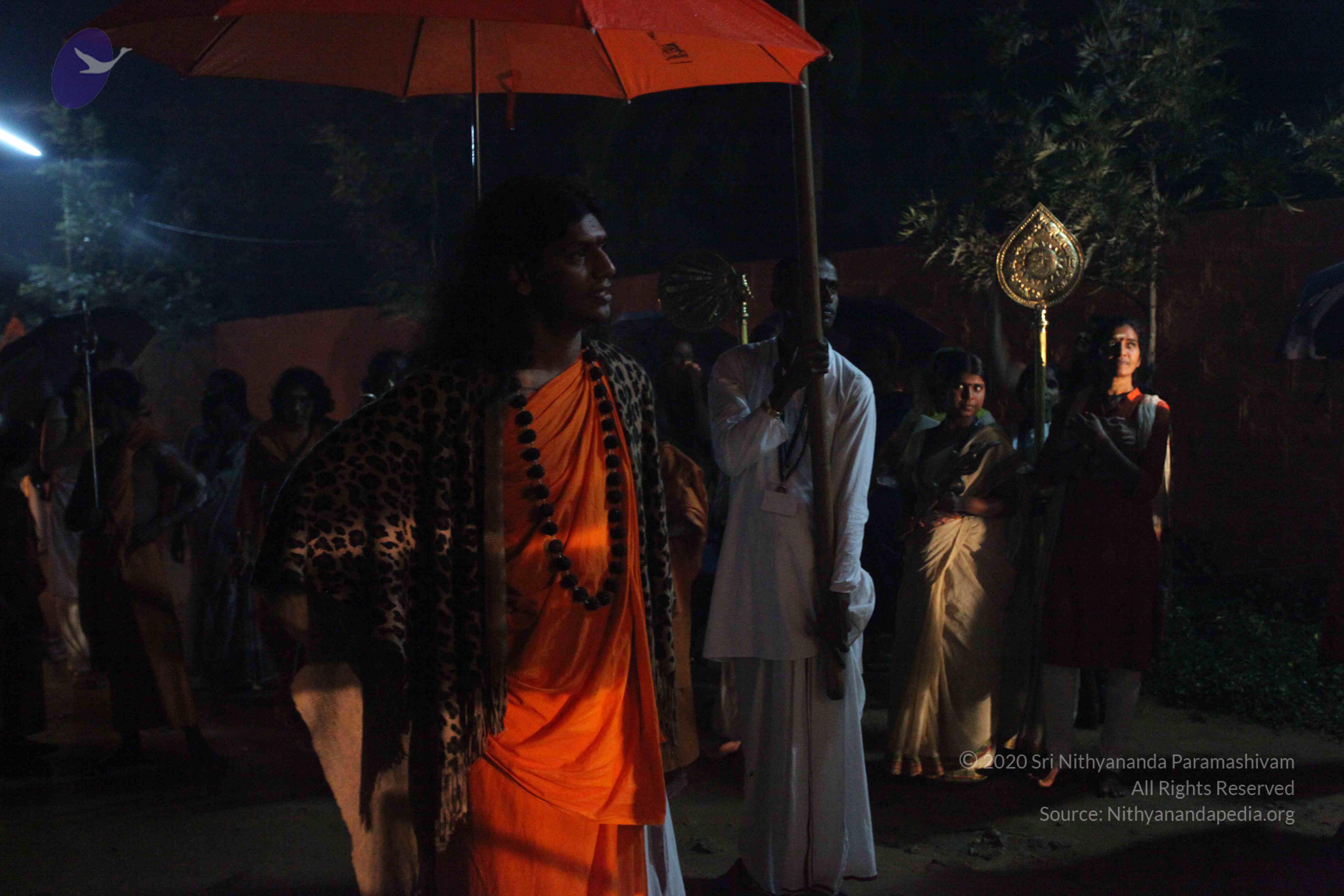 20101119_Photo_1000_IMG_8181_CMP_WM