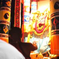 20101119_Photo_1003_IMG_8242_CMP_WM