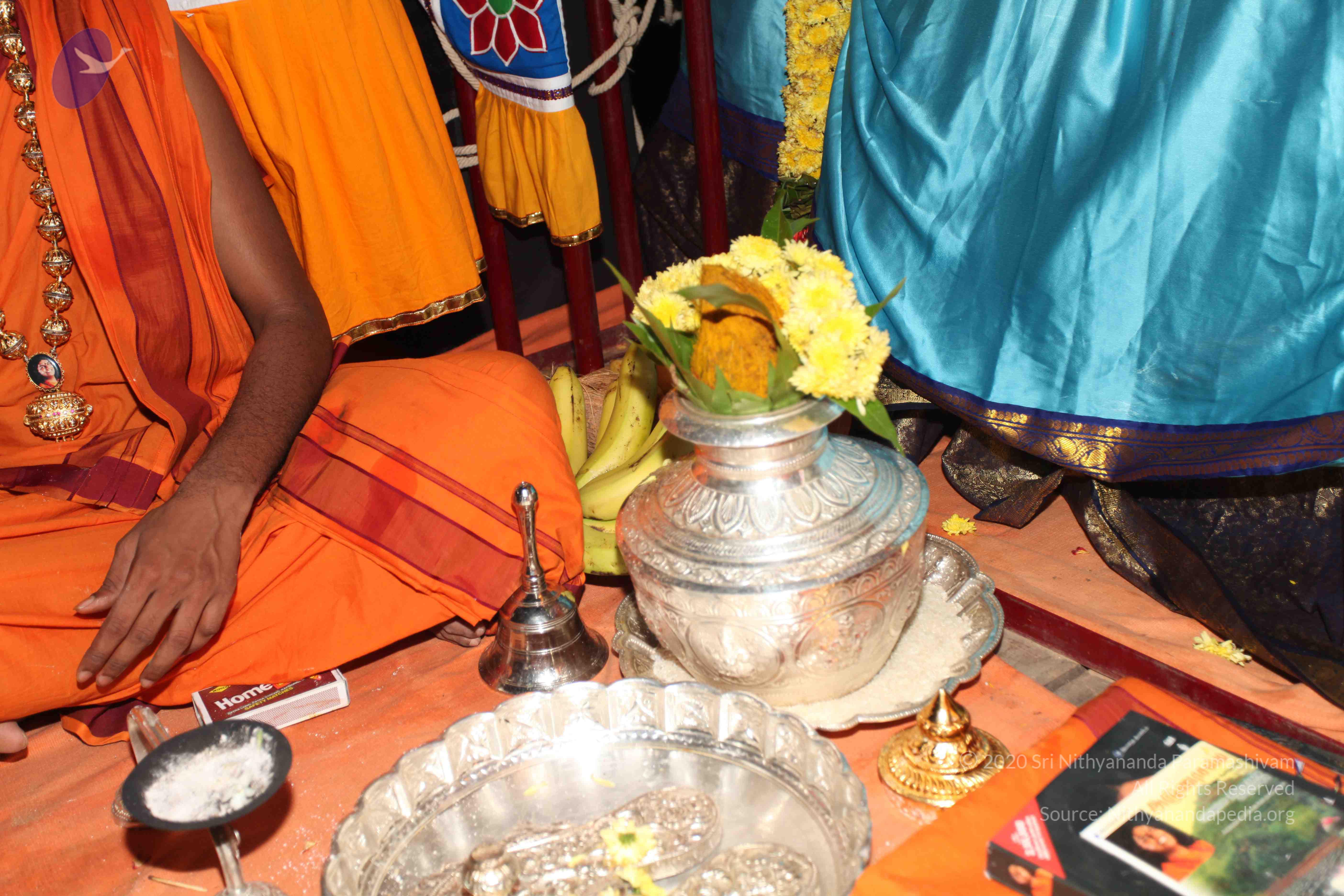 20101119_Photo_1009_IMG_8482_CMP_WM