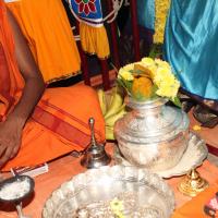 20101119_Photo_1009_IMG_8482_CMP_WM