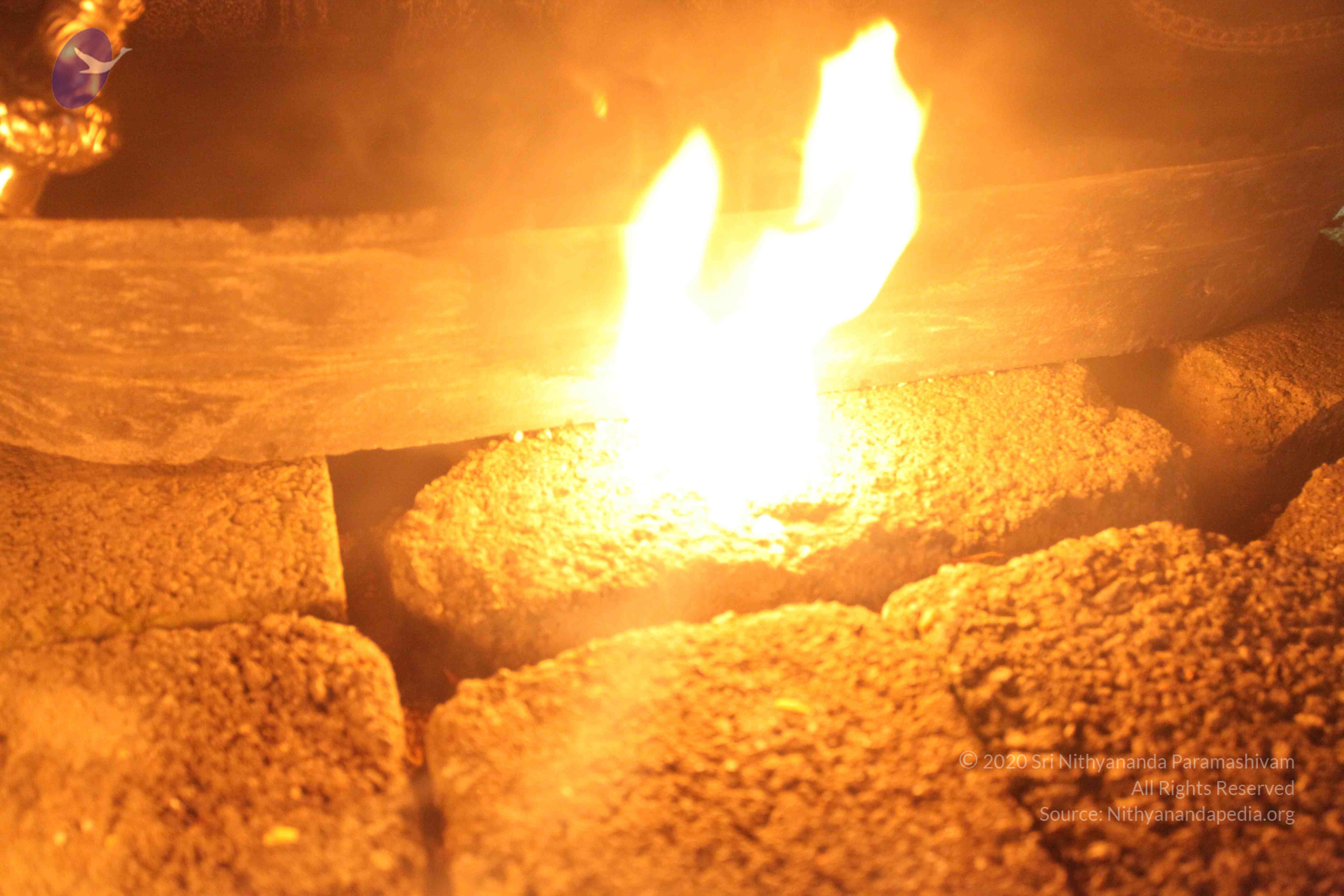 20101119_Photo_1014_IMG_8600_CMP_WM