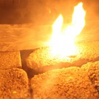 20101119_Photo_1014_IMG_8600_CMP_WM