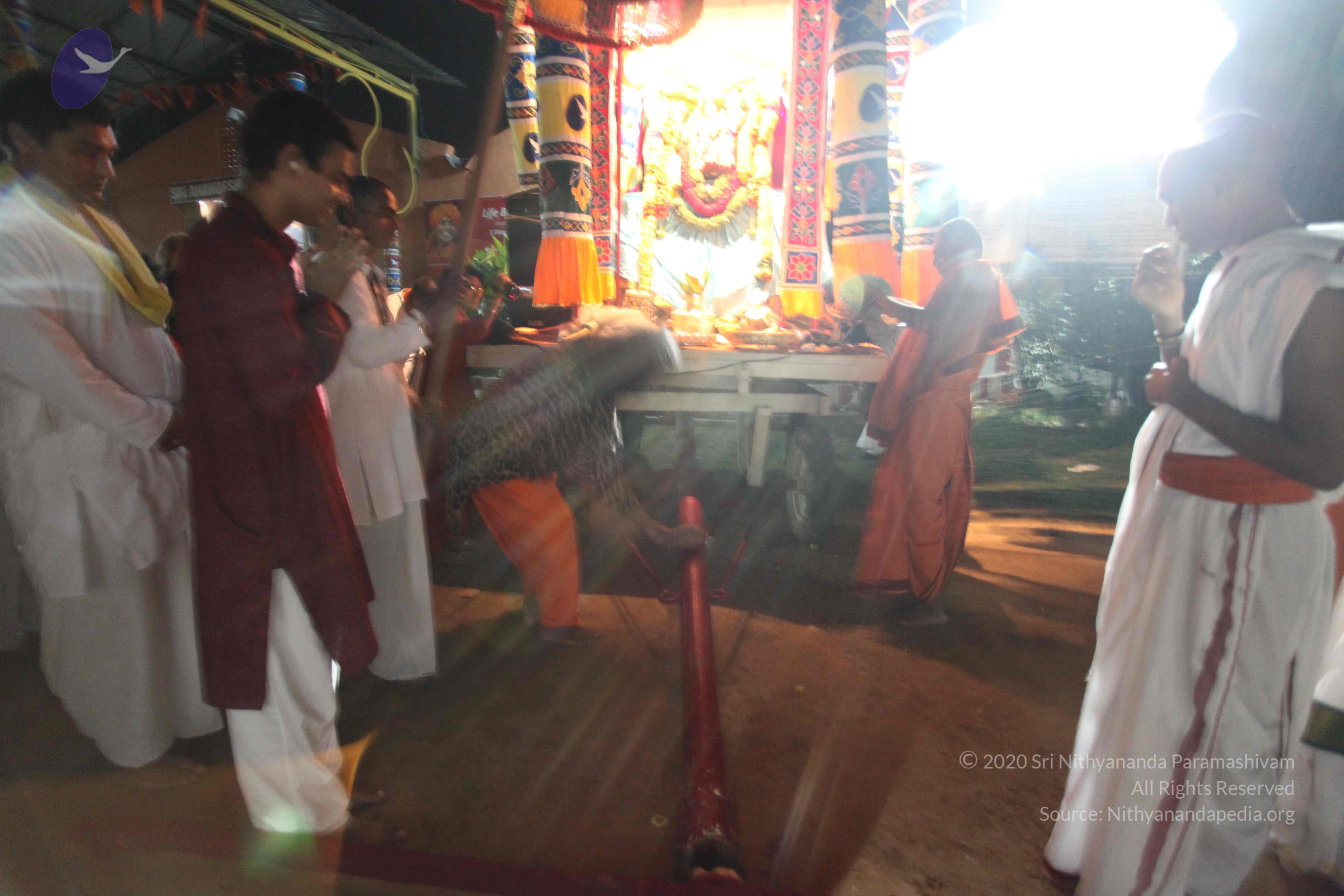 20101119_Photo_1020_IMG_8111_CMP_WM