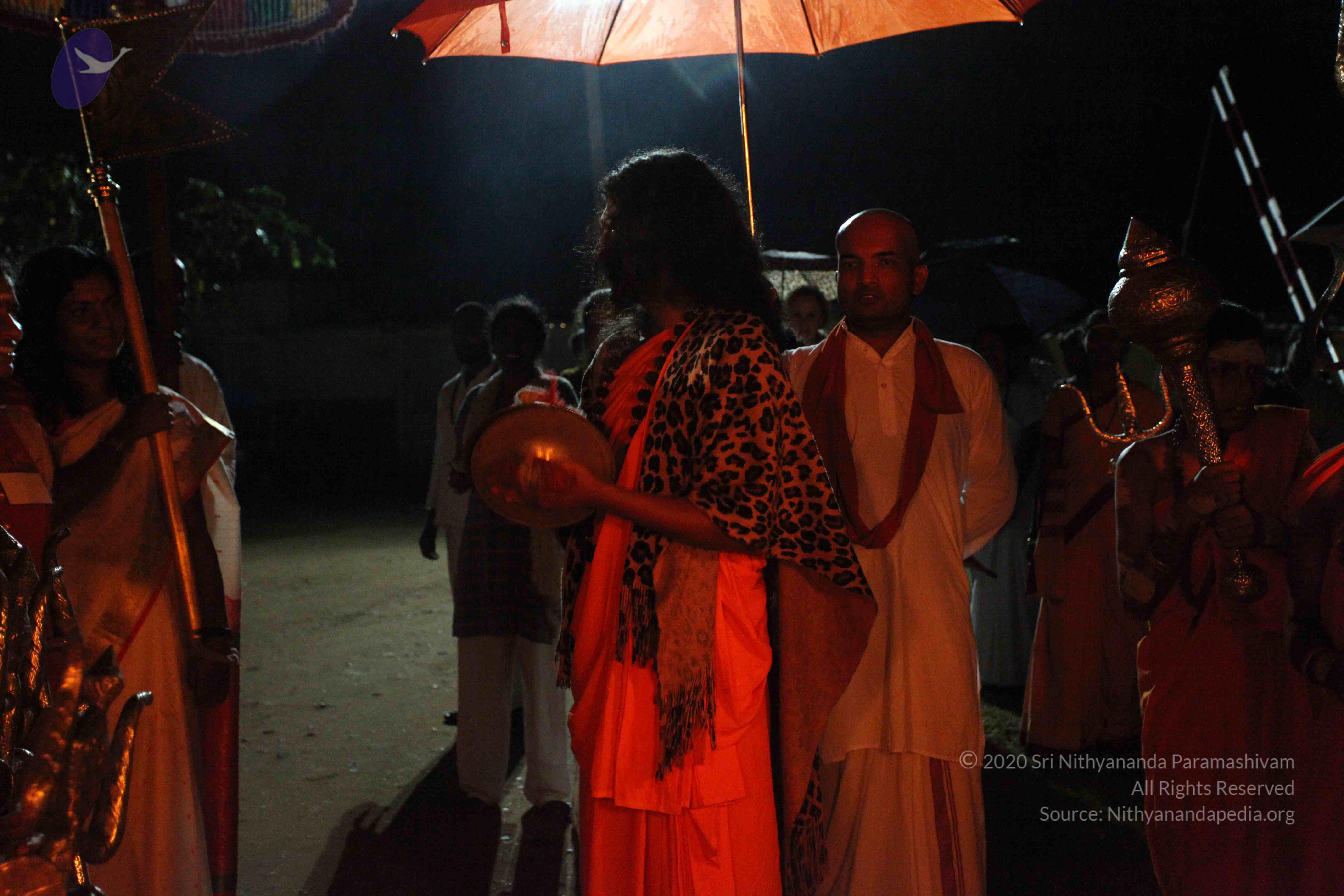 20101119_Photo_1036_IMG_8396_CMP_WM