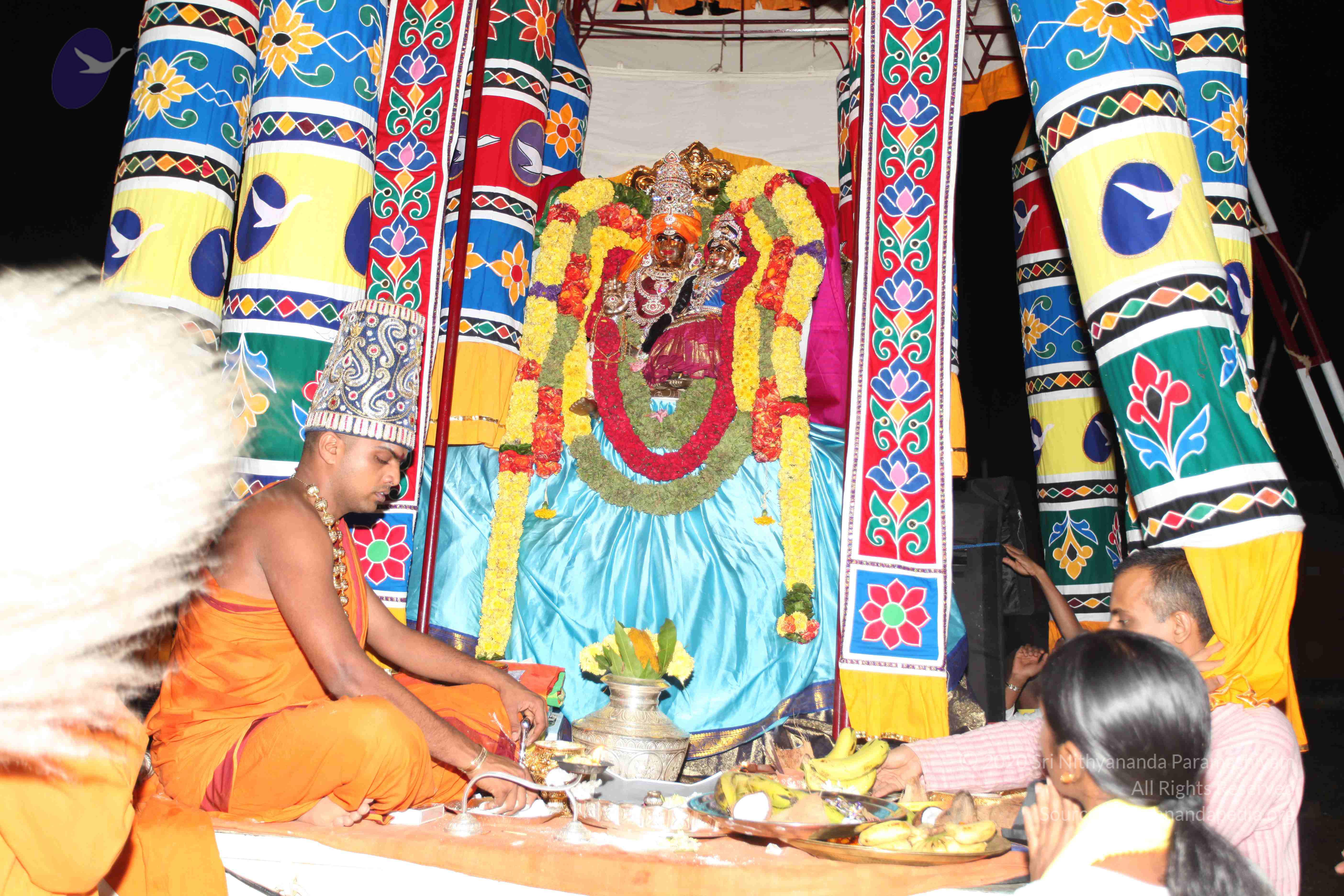 20101119_Photo_1060_IMG_8503_CMP_WM