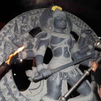 20101119_Photo_1079_IMG_8593_CMP_WM