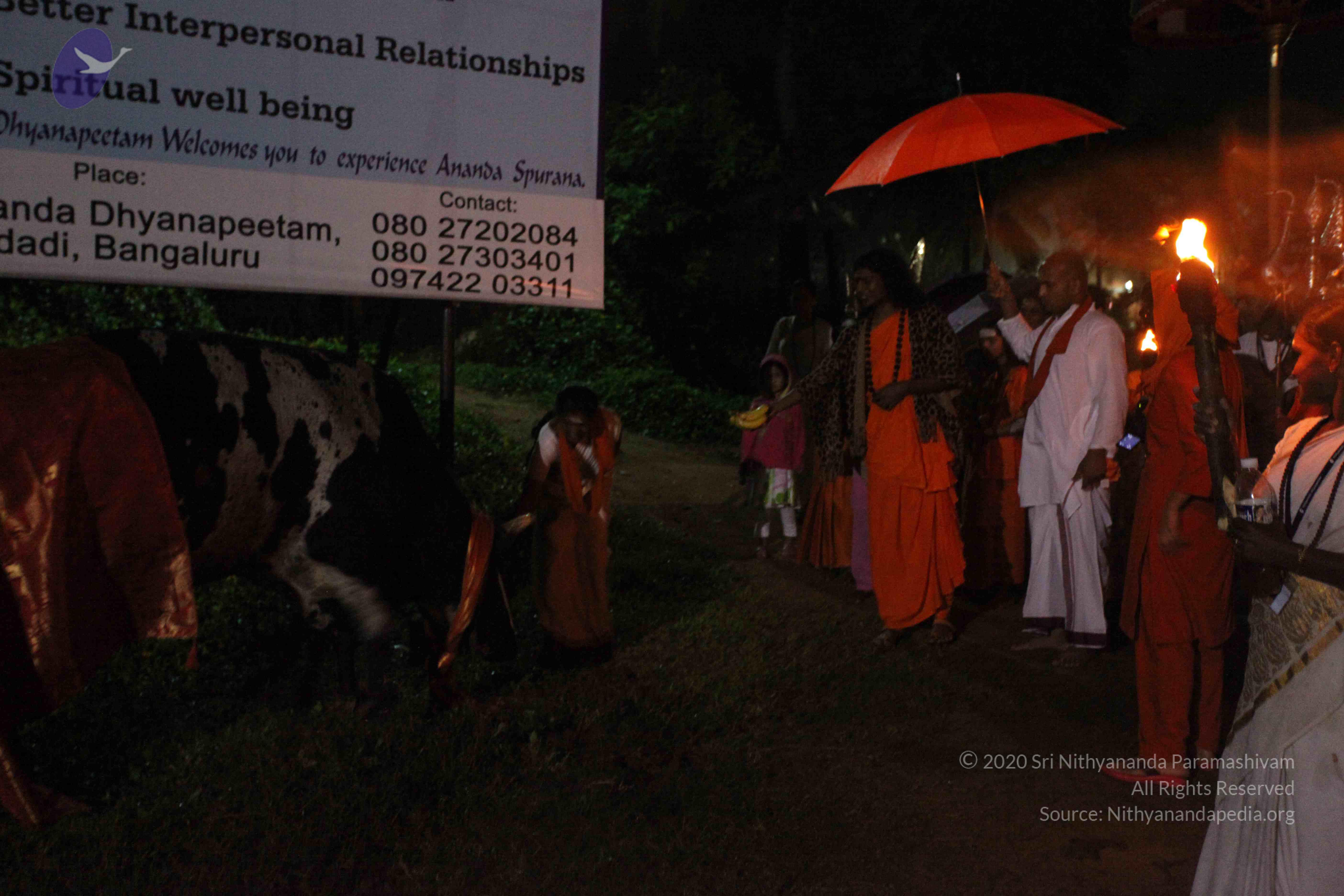 20101119_Photo_1105_IMG_8138_CMP_WM