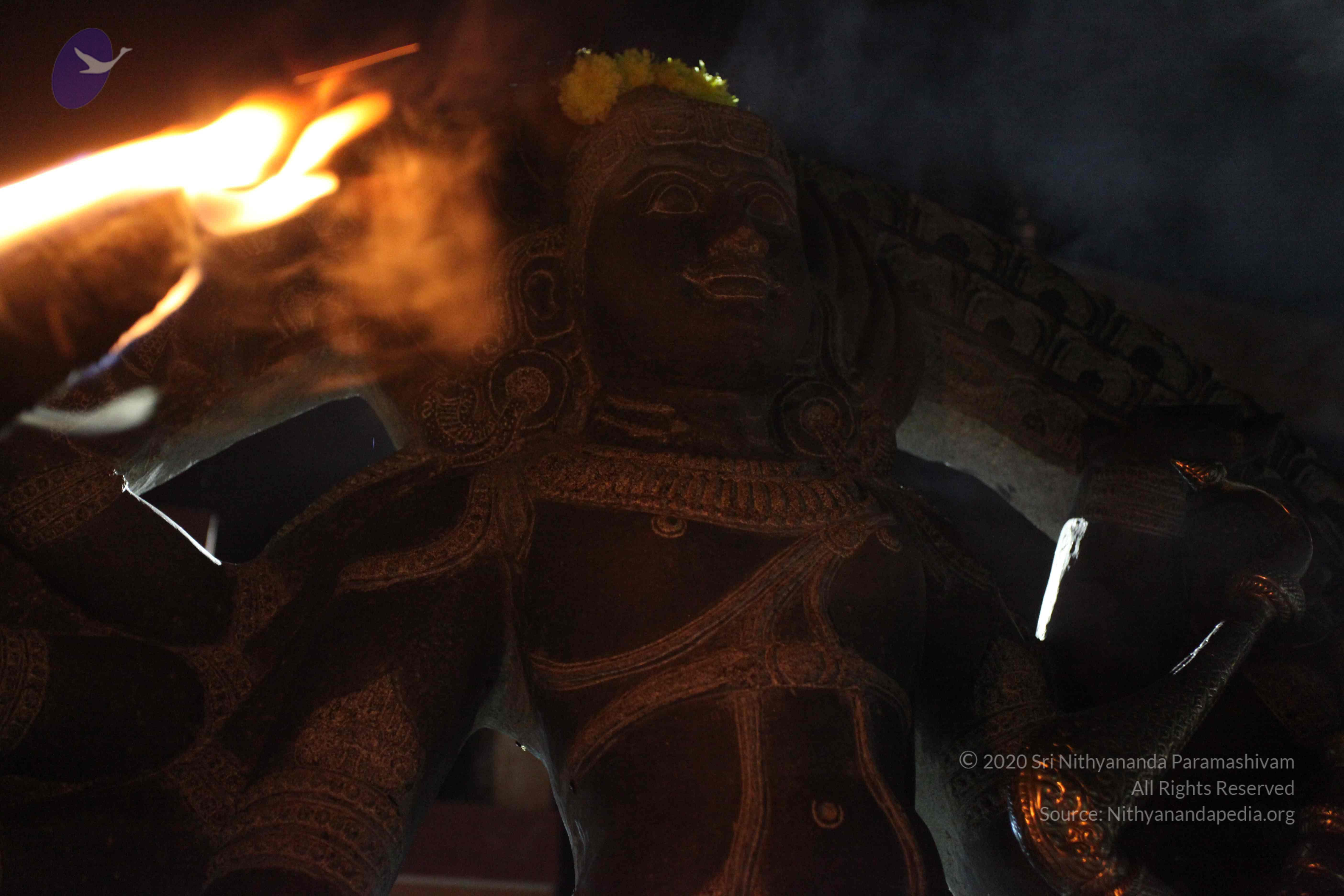 20101119_Photo_1112_IMG_8599_CMP_WM